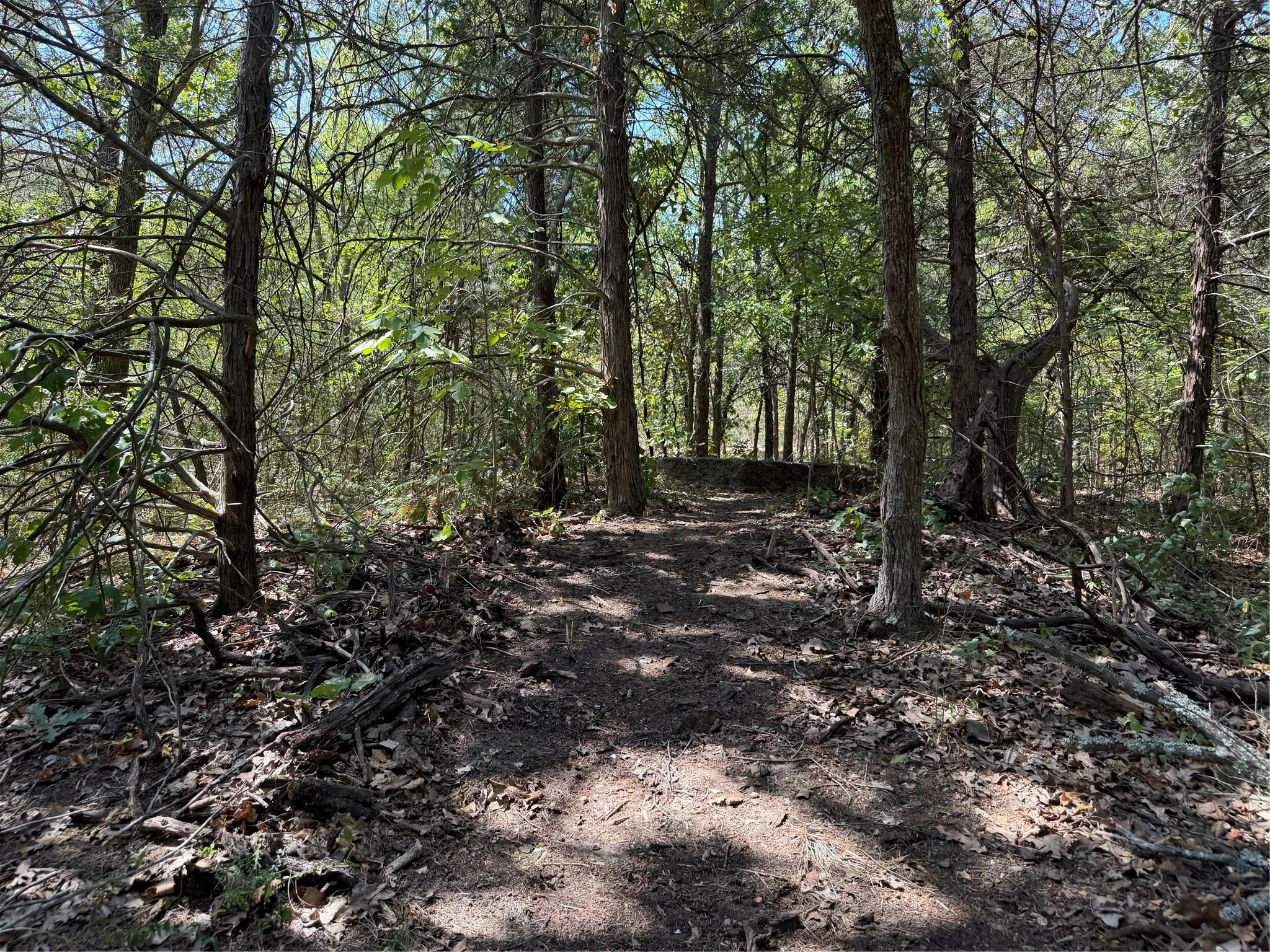 Improved Land For Sale in Grayson County , 2008 S Lang Avenue, Denison, Texas 75020, 0, 0, Garage spaces, 0 Sqft, built in 0, mls#21366913, Real Estate Agent in Denison, Homes For Sale in Grayson county, Homes For Sale in Denison, Realtor in Denison Texas, Real Estate Brokerage Independent Realty Texas, Luminita Cordes Realtor