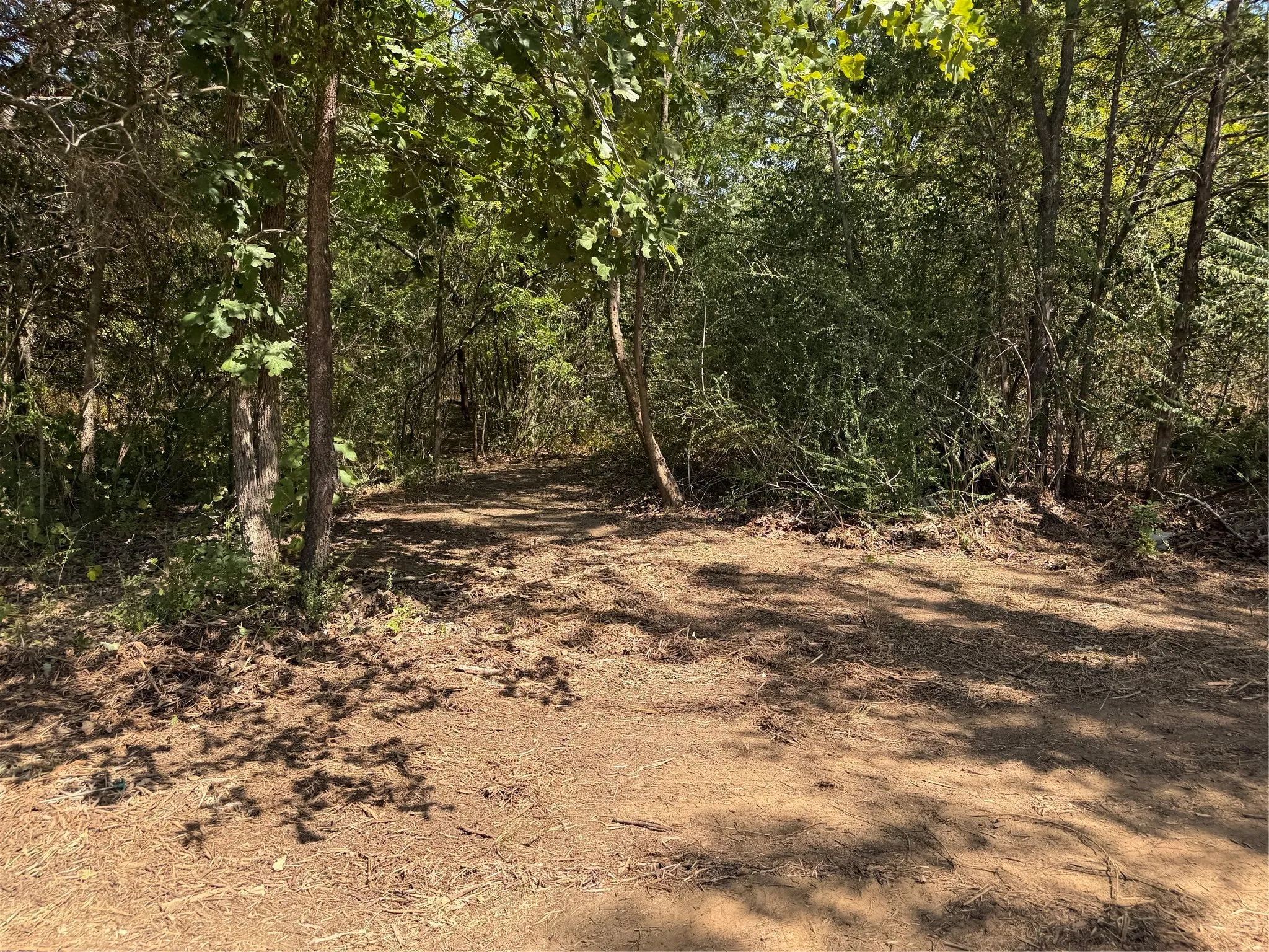 Improved Land For Sale in Grayson County , 2008 S Lang Avenue, Denison, Texas 75020, 0, 0, Garage spaces, 0 Sqft, built in 0, mls#21366913, Real Estate Agent in Denison, Homes For Sale in Grayson county, Homes For Sale in Denison, Realtor in Denison Texas, Real Estate Brokerage Independent Realty Texas, Luminita Cordes Realtor