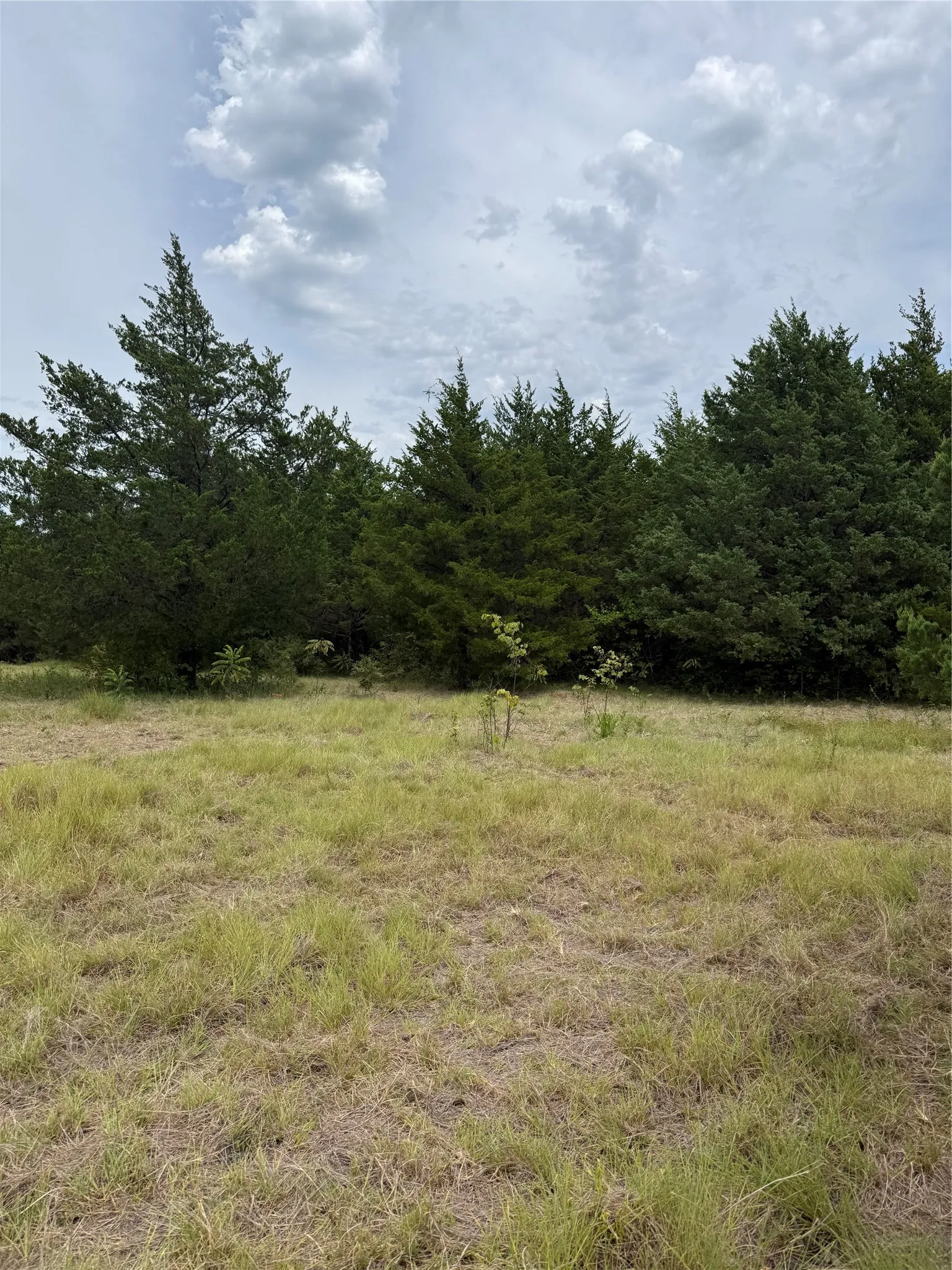 Unimproved Land For Sale in Fannin County , TBD 1 County Road 3040, Bonham, Texas 75418, 0, 0, Garage spaces, 0 Sqft, built in 0, Price $245,000, mls#21364113, Real Estate Agent in Bonham, Homes For Sale in Fannin county, Homes For Sale in Bonham, Realtor in Bonham Texas, Real Estate Brokerage Independent Realty Texas, Luminita Cordes Realtor