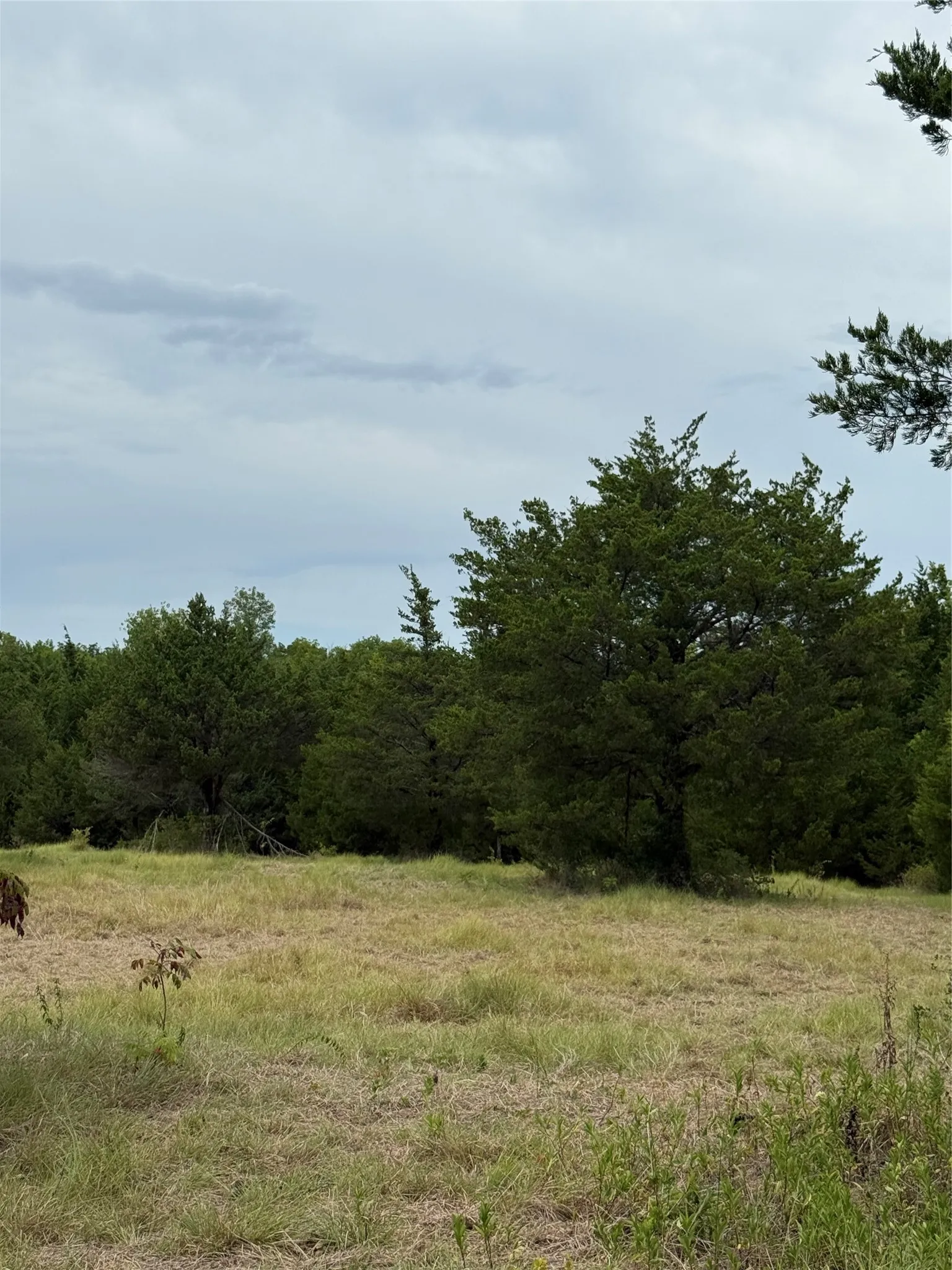 Unimproved Land For Sale in Fannin County , TBD 1 County Road 3040, Bonham, Texas 75418, 0, 0, Garage spaces, 0 Sqft, built in 0, Price $245,000, mls#21364113, Real Estate Agent in Bonham, Homes For Sale in Fannin county, Homes For Sale in Bonham, Realtor in Bonham Texas, Real Estate Brokerage Independent Realty Texas, Luminita Cordes Realtor