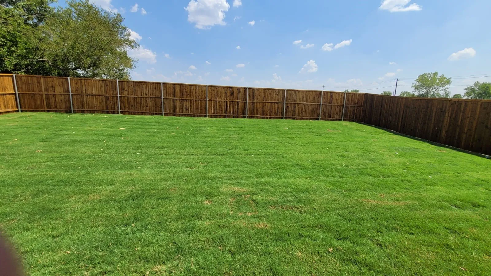 Expansive backyard featuring a manicured lawn and a privacy fence