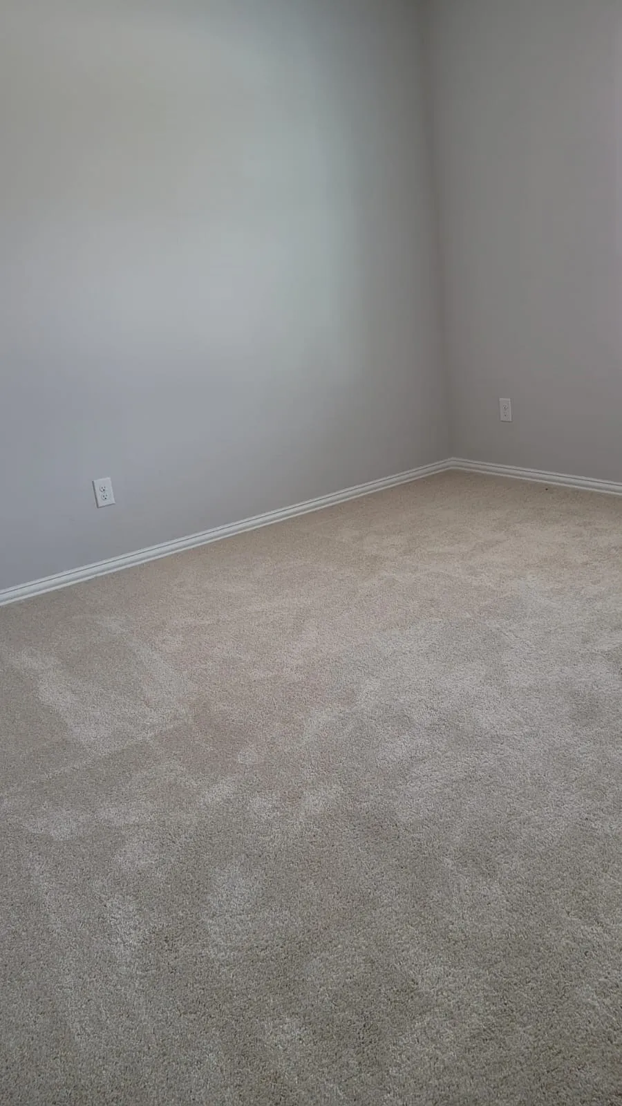 Neutral-toned carpet flooring with white trim