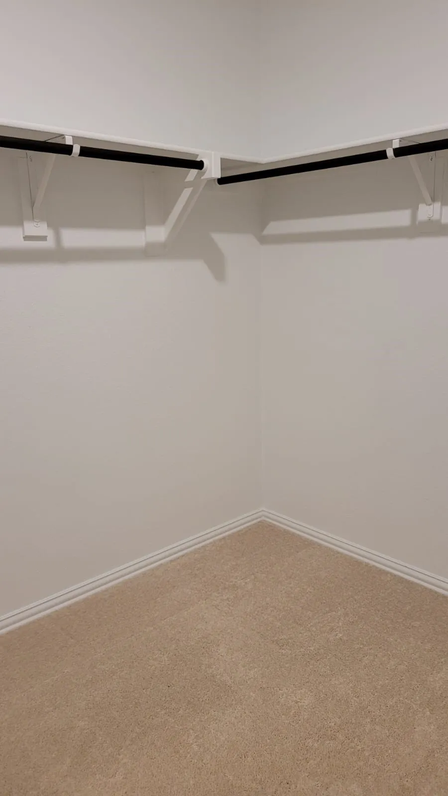 Built-in closet shelving with black hanging rods and carpeting