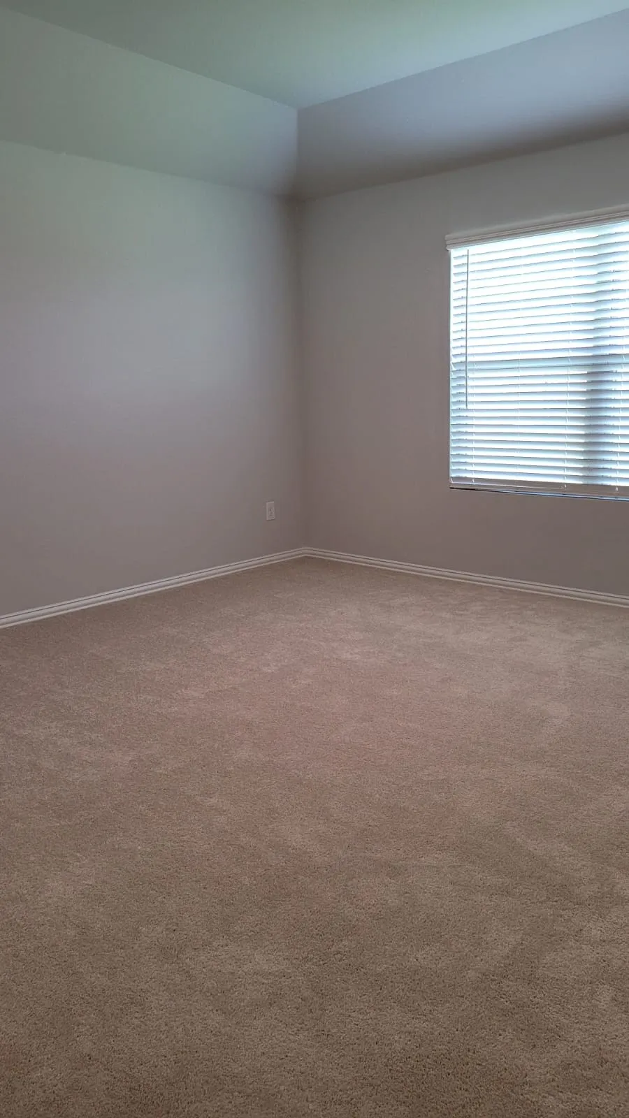 Tray ceiling, carpeted flooring, and a single window with blinds