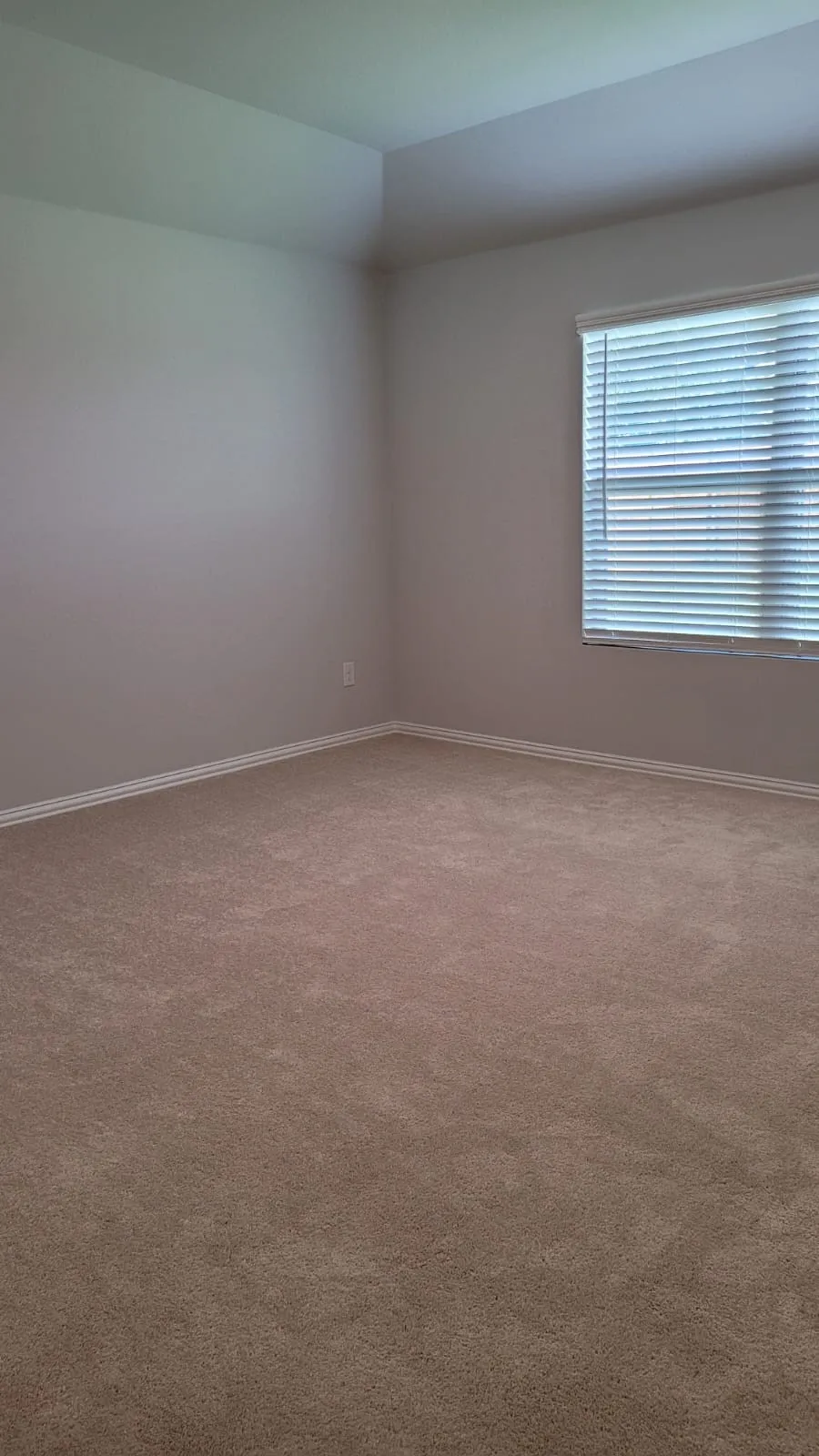 Tray ceiling detailing, neutral wall tones, window with blinds, and carpeting