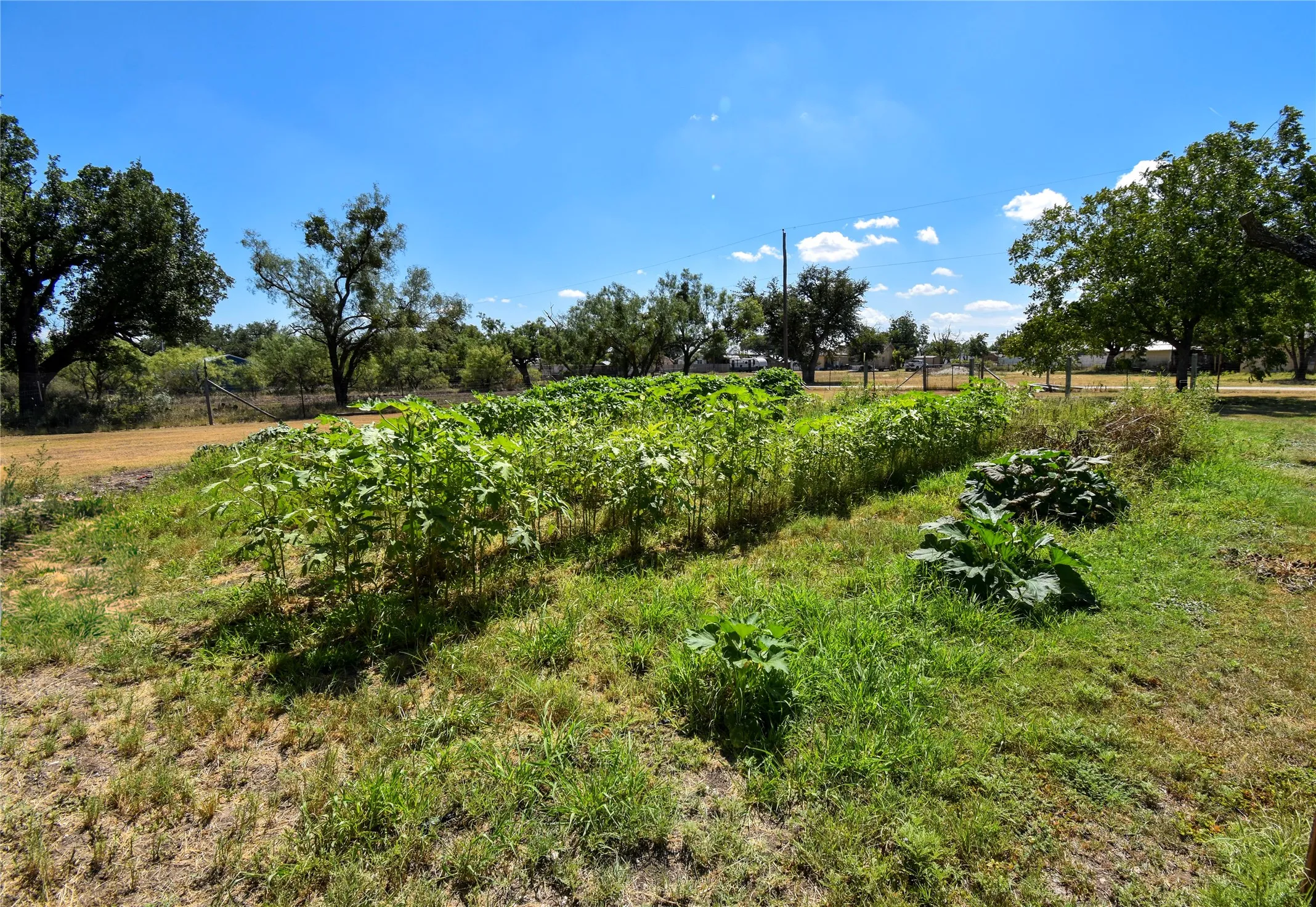 Improved Land For Sale in Concho County , 420 Maddox, Eden, Texas 76837, 0, 0, Garage spaces, 0 Sqft, built in 0, mls#21366968, Real Estate Agent in Eden, Homes For Sale in Concho county, Homes For Sale in Eden, Realtor in Eden Texas, Real Estate Brokerage Independent Realty Texas, Luminita Cordes Realtor