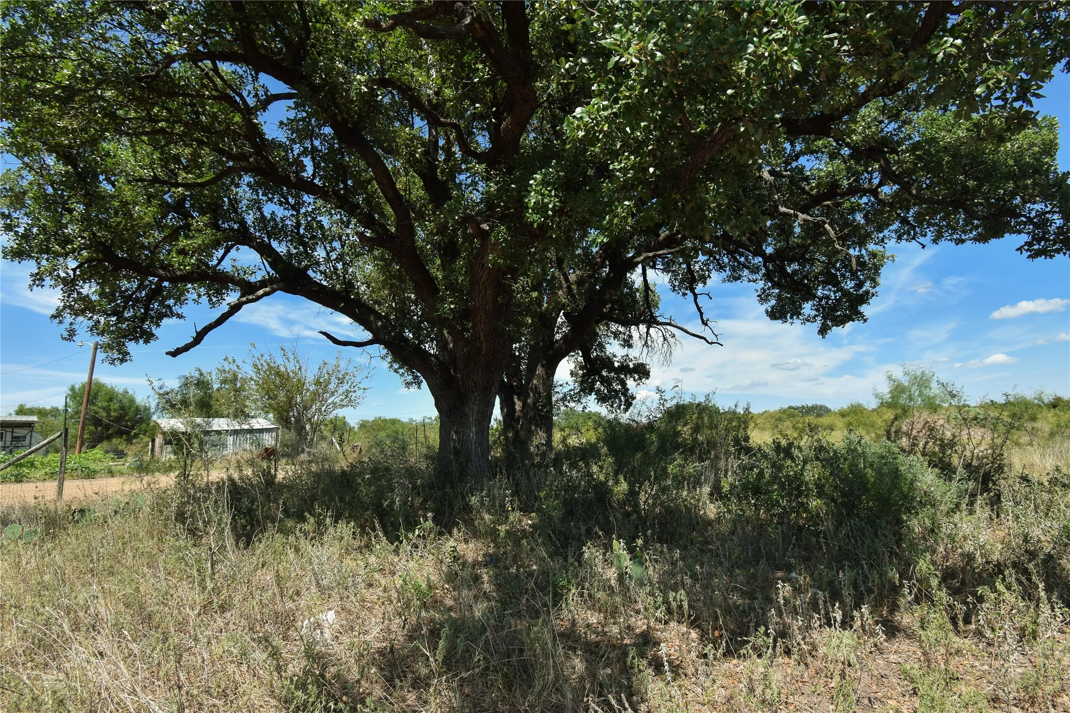 Improved Land For Sale in Concho County , 420 Maddox, Eden, Texas 76837, 0, 0, Garage spaces, 0 Sqft, built in 0, mls#21366968, Real Estate Agent in Eden, Homes For Sale in Concho county, Homes For Sale in Eden, Realtor in Eden Texas, Real Estate Brokerage Independent Realty Texas, Luminita Cordes Realtor