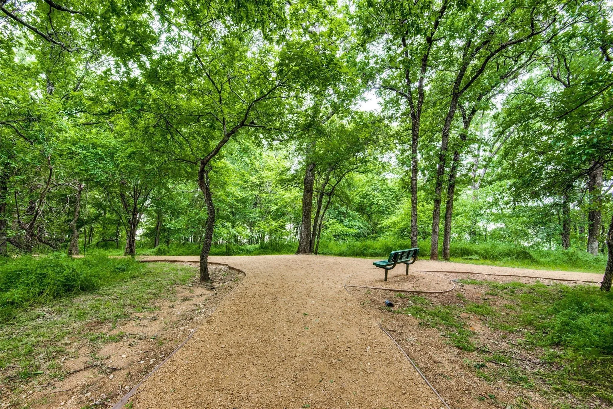 Paloma Creek Neighborhood Amenities