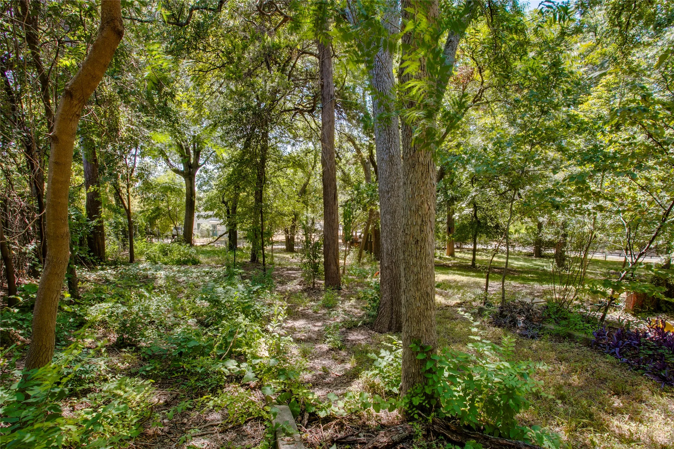 Single Family Residence For Sale in Dallas County , 514 S Ravinia Drive, Dallas, Texas 75211, 3 Bedroom, 3 Bathroom, Garage spaces, 3,674 Sqft, built in 1924, mls#21366529, Real Estate Agent in Dallas, Homes For Sale in Dallas county, Homes For Sale in Dallas, Realtor in Dallas Texas, Real Estate Brokerage Independent Realty Texas, Luminita Cordes Realtor