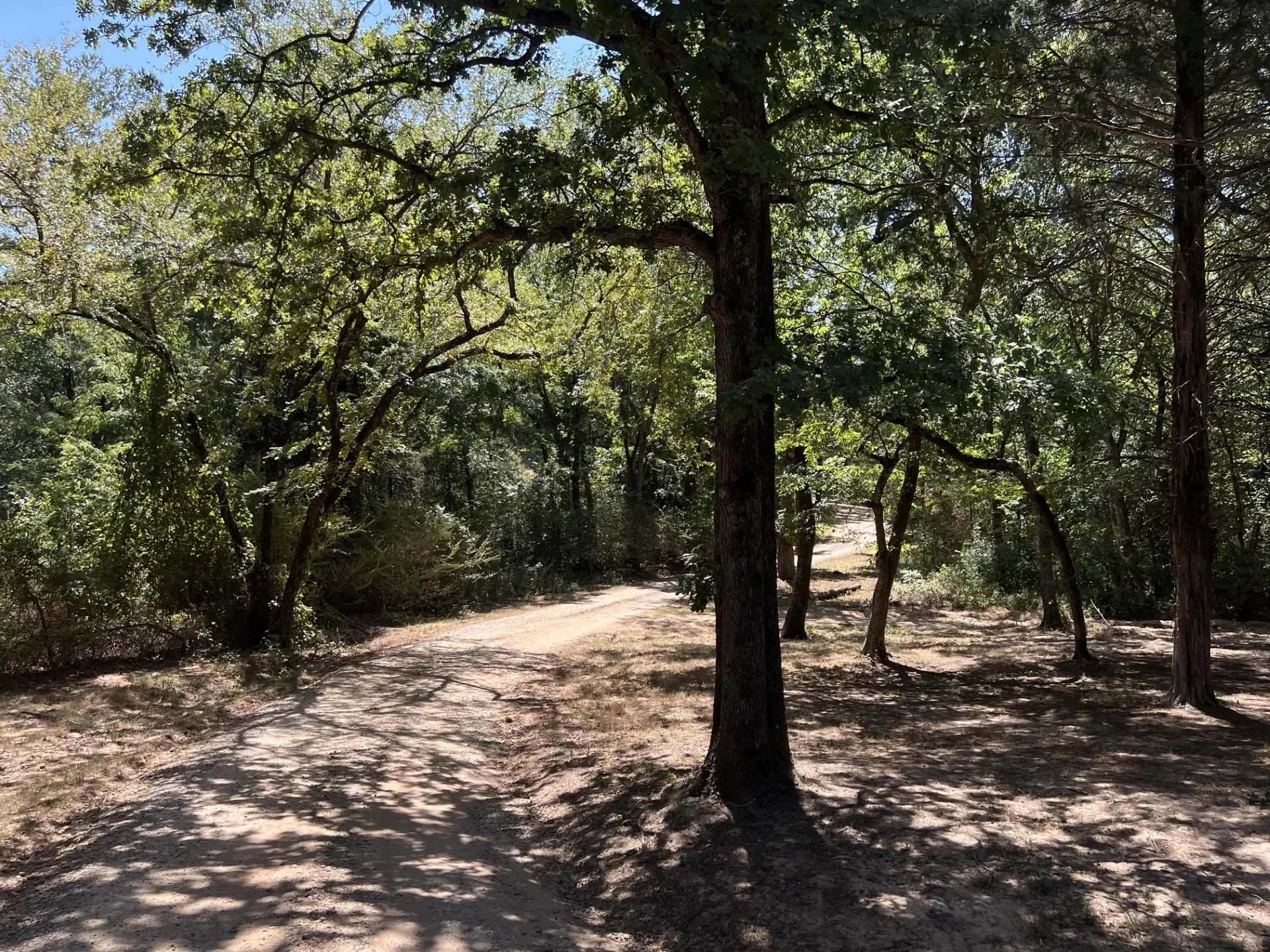 Mobile Home For Sale in Fannin County , 2496 County Road 2010, Ravenna, Texas 75476, 4 Bedroom, 2 Bathroom, Garage spaces, 2,040 Sqft, built in 2022, mls#21367003, Real Estate Agent in Ravenna, Homes For Sale in Fannin county, Homes For Sale in Ravenna, Realtor in Ravenna Texas, Real Estate Brokerage Independent Realty Texas, Luminita Cordes Realtor
