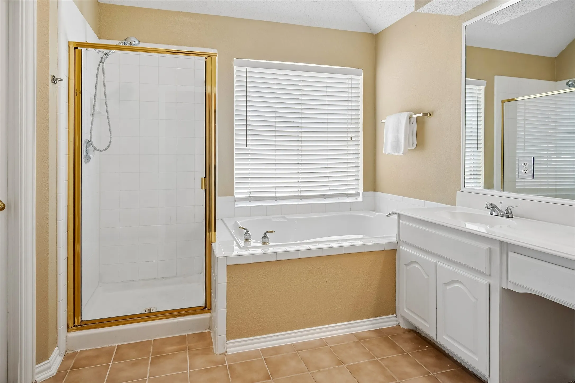 Large tub and separate shower