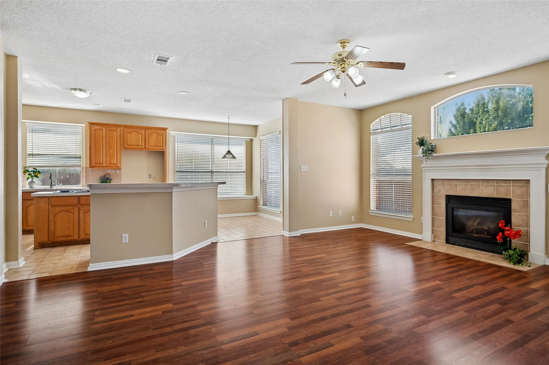 Large Family Room and Open Kitchen