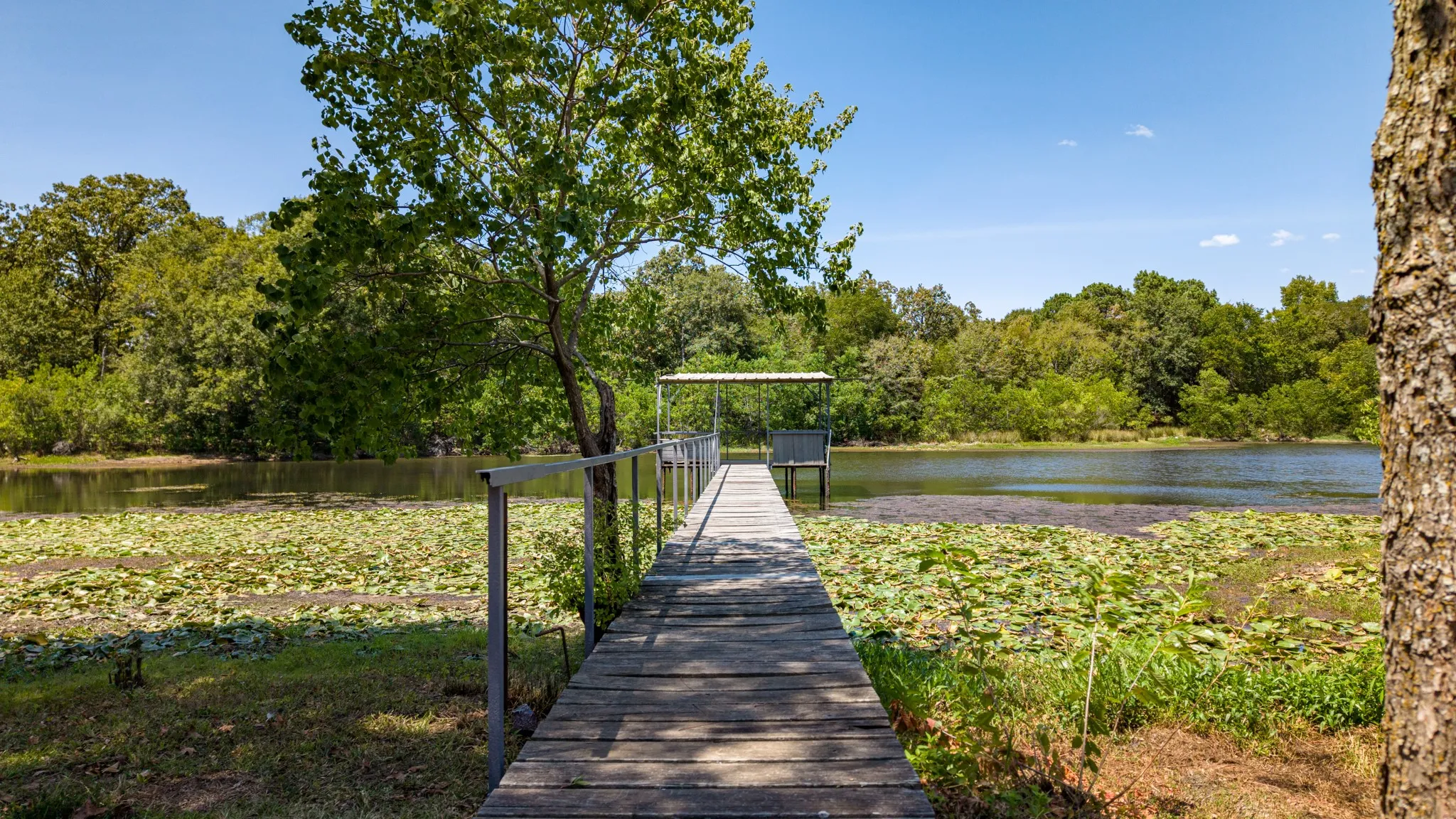 Wood-finish dock with metal railings extending over a body of water with lily pads, framed by mature trees