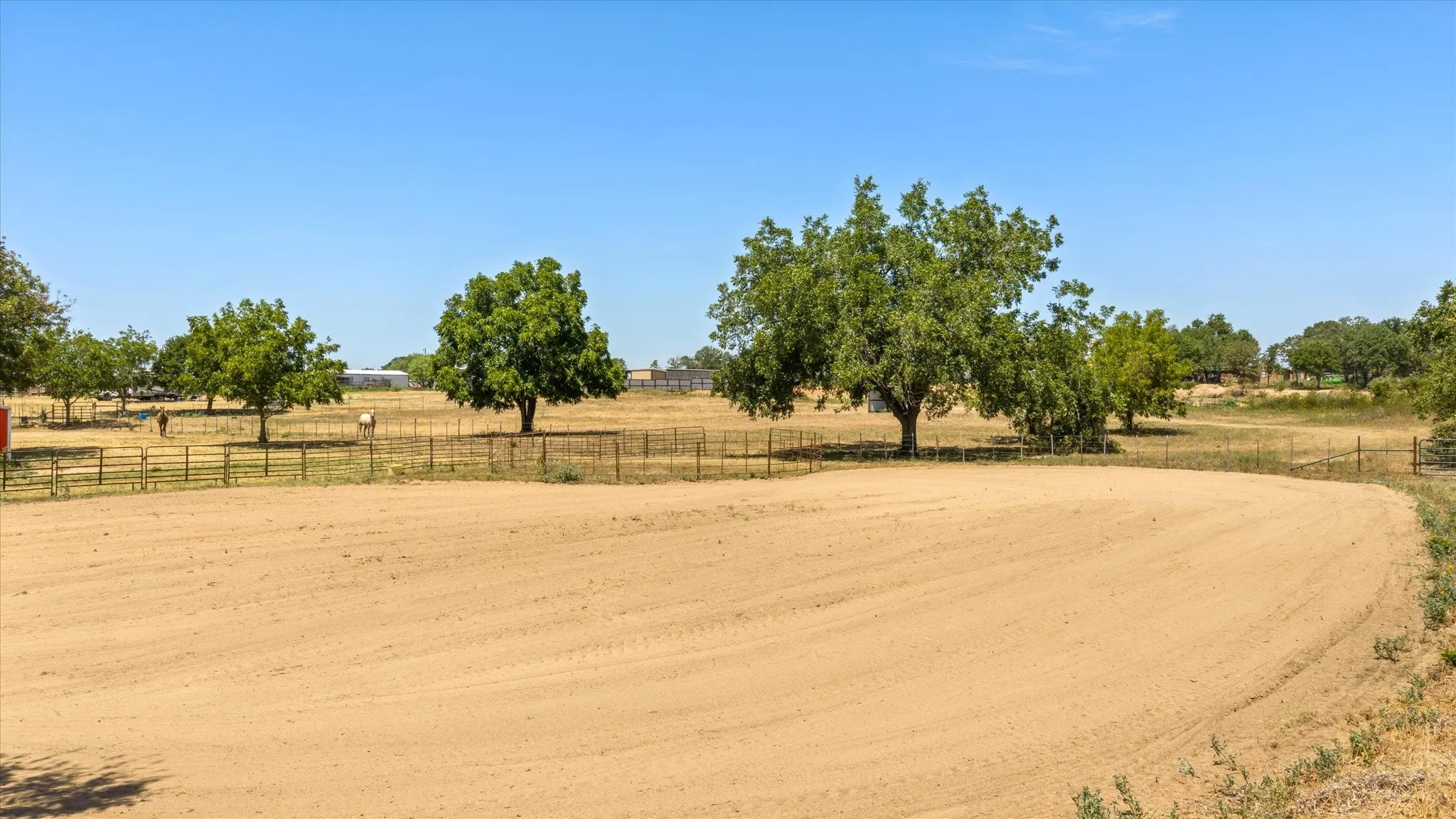 Look at this beautiful ground for riding