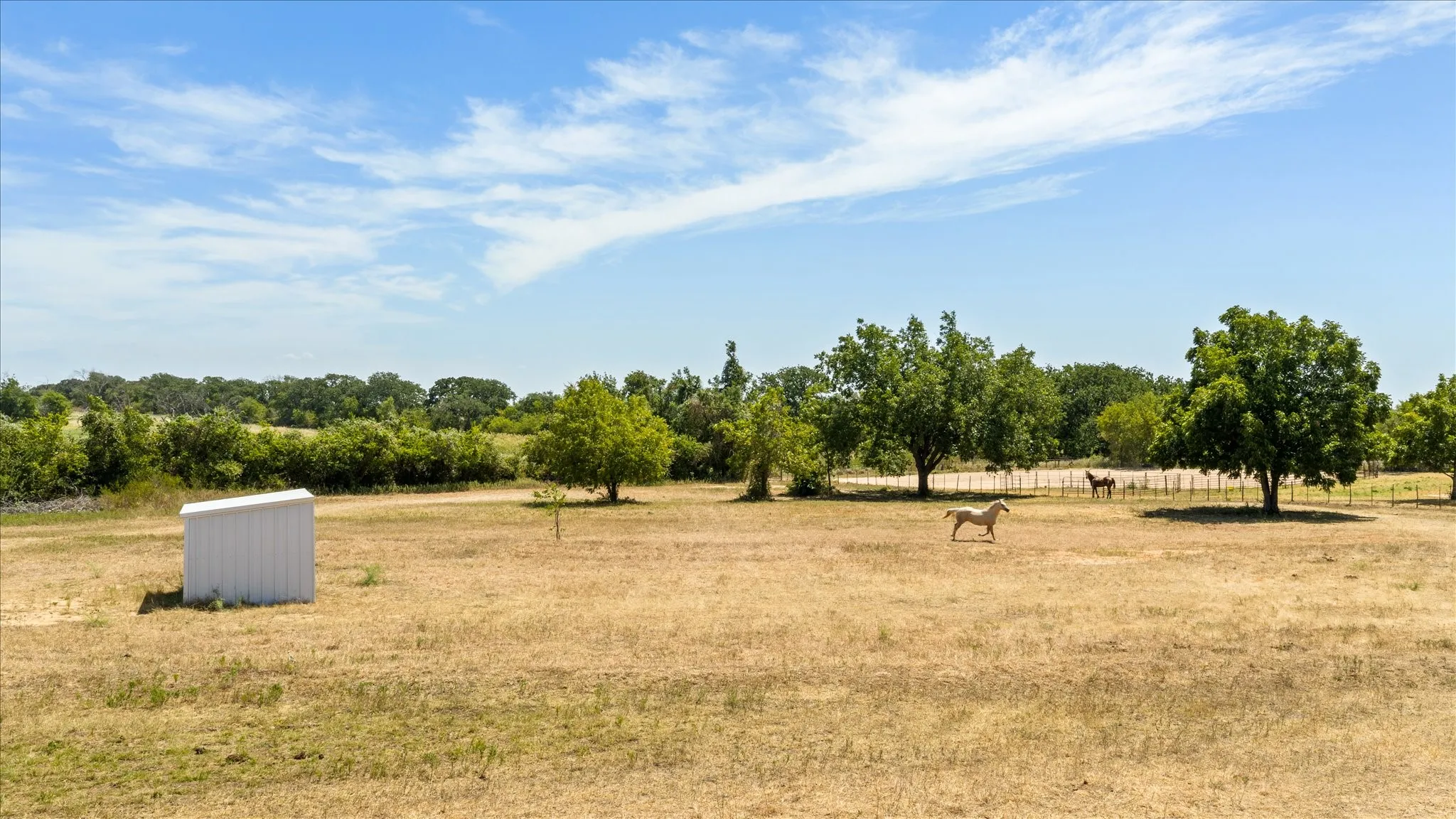 Cross-fenced horse turn out featuring a second metal 12x12 horse shed, mature trees