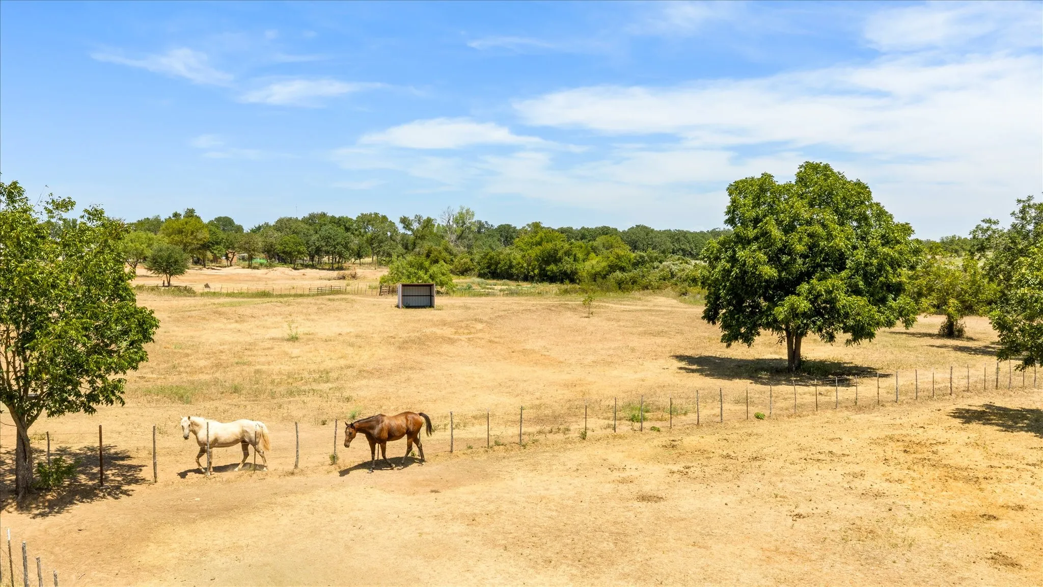 Mobile Home For Sale in Erath County , 191 County Road 259, Dublin, Texas 76446, 3 Bedroom, 2 Bathroom, Garage spaces, 1,344 Sqft, built in 2007, mls#21366536, Real Estate Agent in Dublin, Homes For Sale in Erath county, Homes For Sale in Dublin, Realtor in Dublin Texas, Real Estate Brokerage Independent Realty Texas, Luminita Cordes Realtor