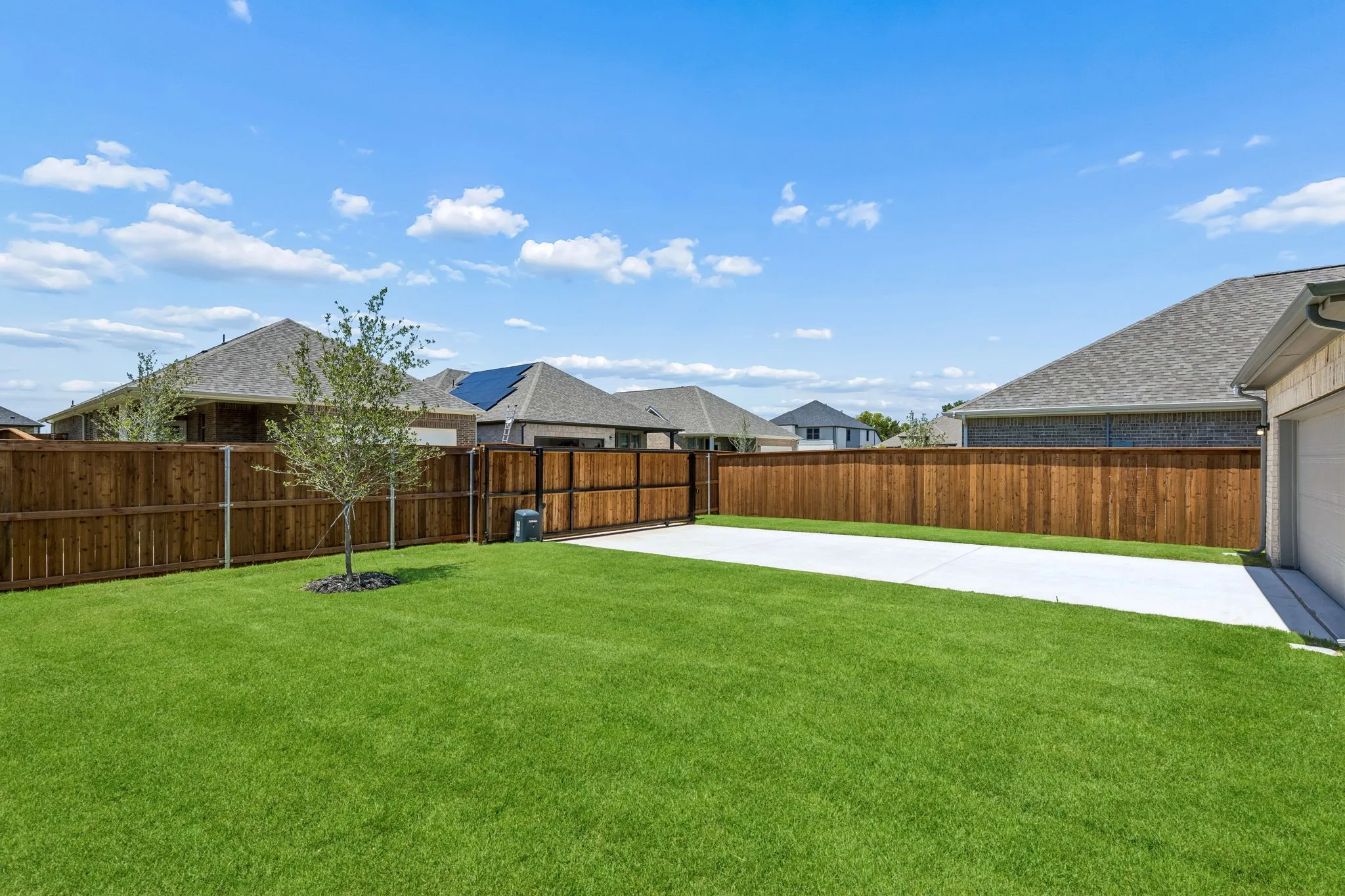 Expansive grassy yard with wood fencing, a young tree, and a concrete pathway