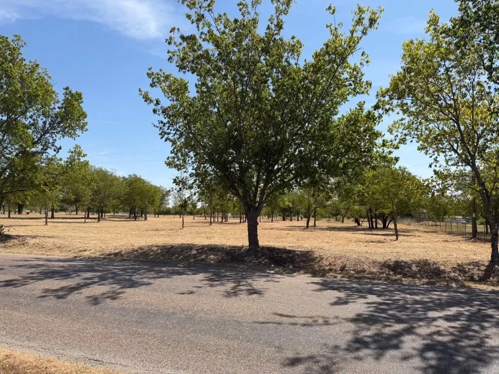 Unimproved Land For Sale in Johnson County , 7748 County Road 912, Godley, Texas 76044, 0, 0, Garage spaces, 0 Sqft, built in 0, mls#21367121, Real Estate Agent in Godley, Homes For Sale in Johnson county, Homes For Sale in Godley, Realtor in Godley Texas, Real Estate Brokerage Independent Realty Texas, Luminita Cordes Realtor