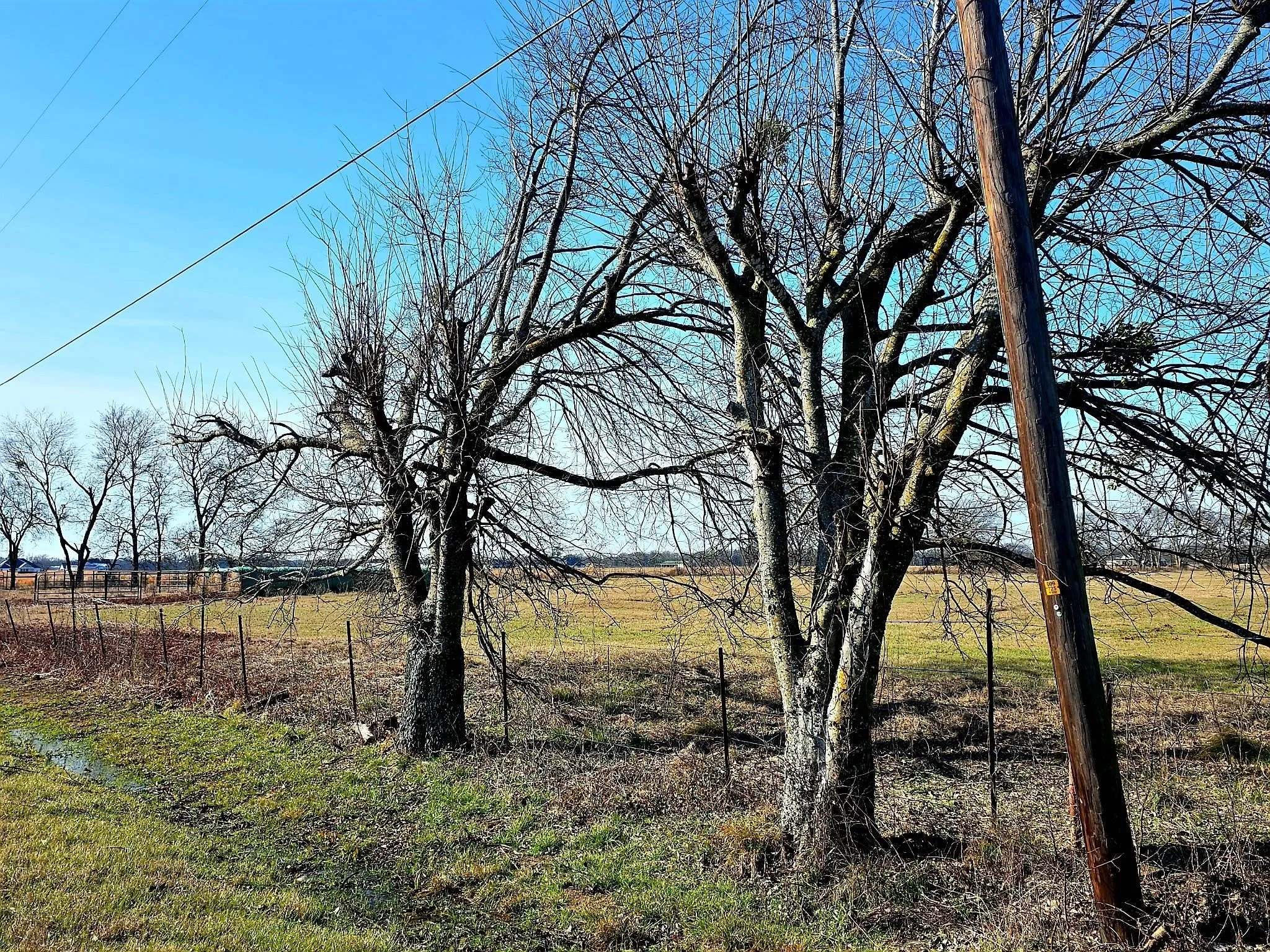 Unimproved Land For Sale in Van Zandt County , 19770 FM 47, Wills Point, Texas 75169, 0, 0, Garage spaces, 0 Sqft, built in 0, mls#21367128, Real Estate Agent in Wills Point, Homes For Sale in Van Zandt county, Homes For Sale in Wills Point, Realtor in Wills Point Texas, Real Estate Brokerage Independent Realty Texas, Luminita Cordes Realtor
