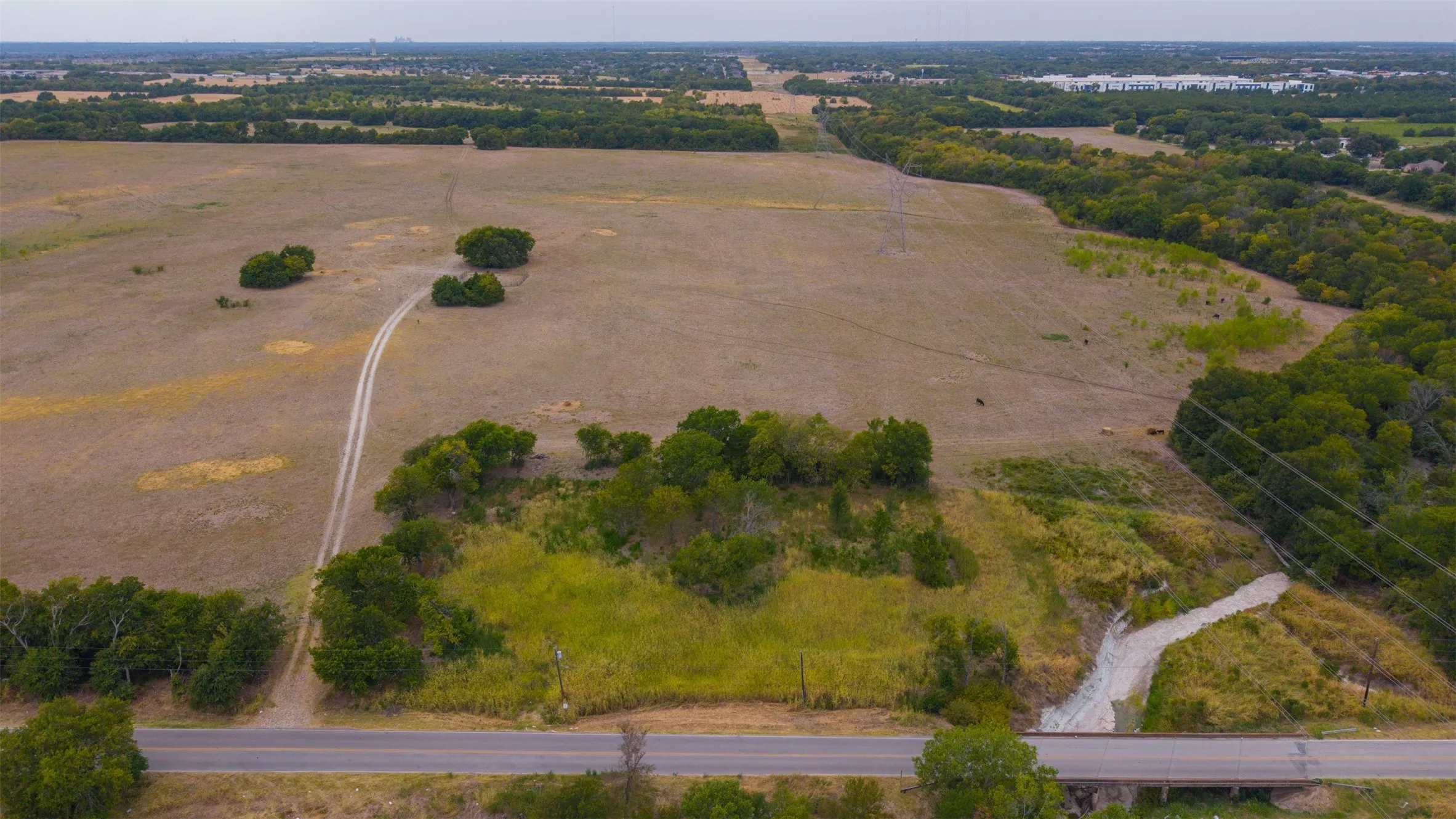 Expansive open land featuring diverse vegetation and a paved road frontage