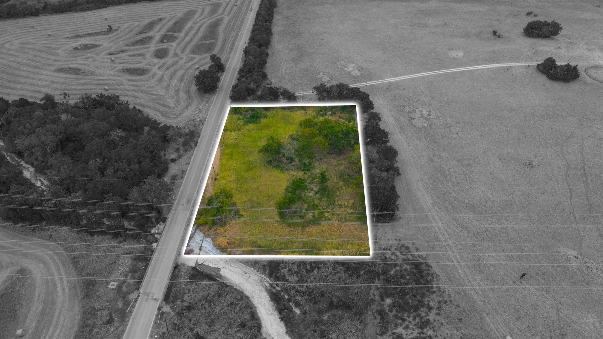 Cleared land with natural vegetation and bordering trees