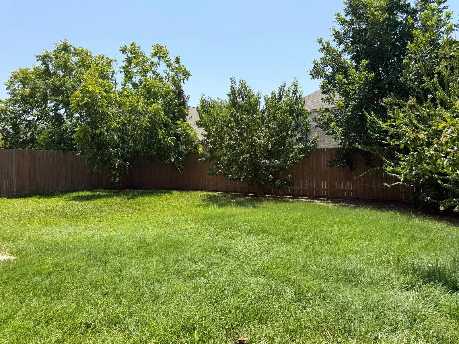 Single Family Residence For Sale in Collin County , 3104 Deleon Drive, Plano, Texas 75025, 3 Bedroom, 3 Bathroom, 2 Garage spaces, 2,279 Sqft, built in 2001, mls#21367171, Real Estate Agent in Plano, Homes For Sale in Collin county, Homes For Sale in Plano, Realtor in Plano Texas, Real Estate Brokerage Independent Realty Texas, Luminita Cordes Realtor