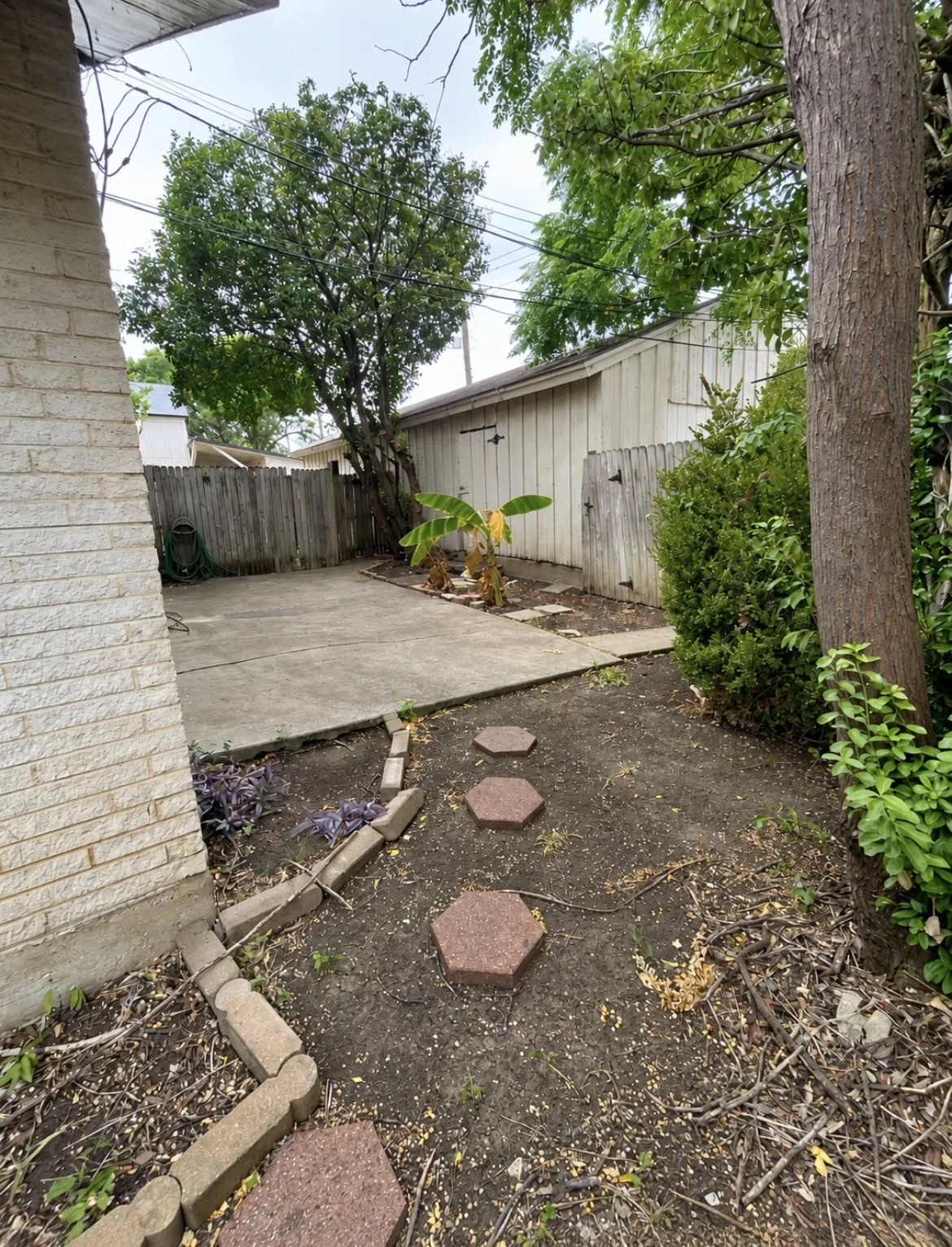Concrete patio and mature trees