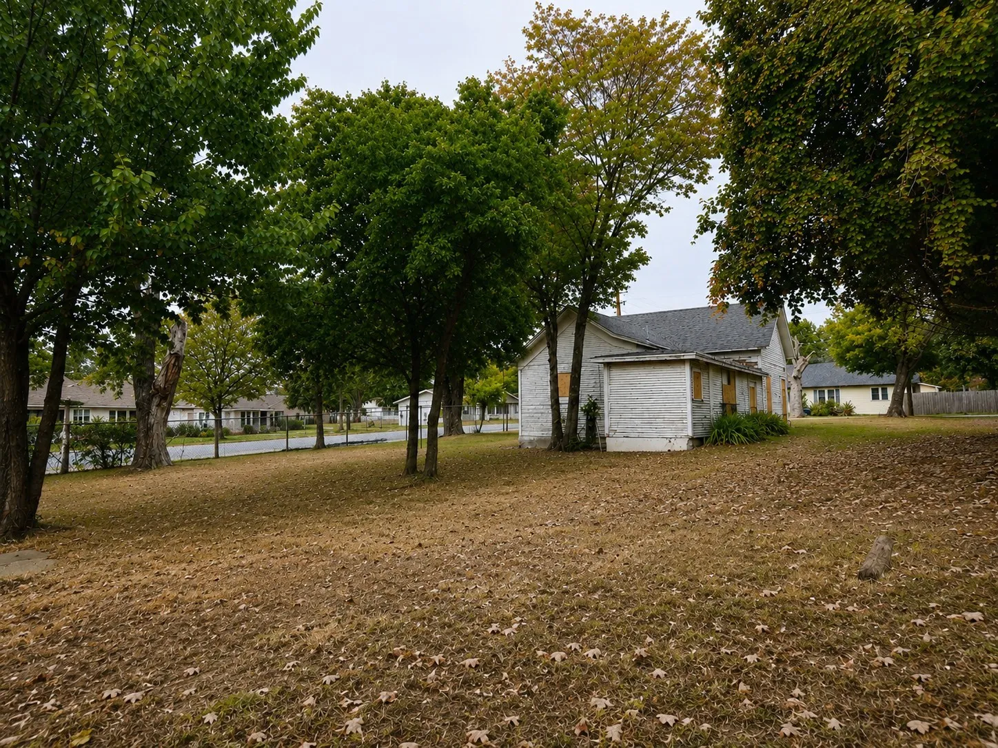 Backyard
