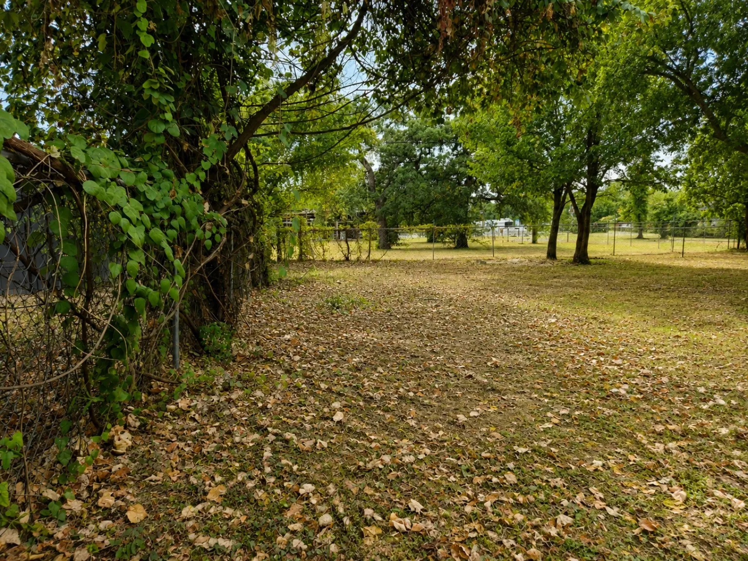 Looking West towards backyard from driveway side