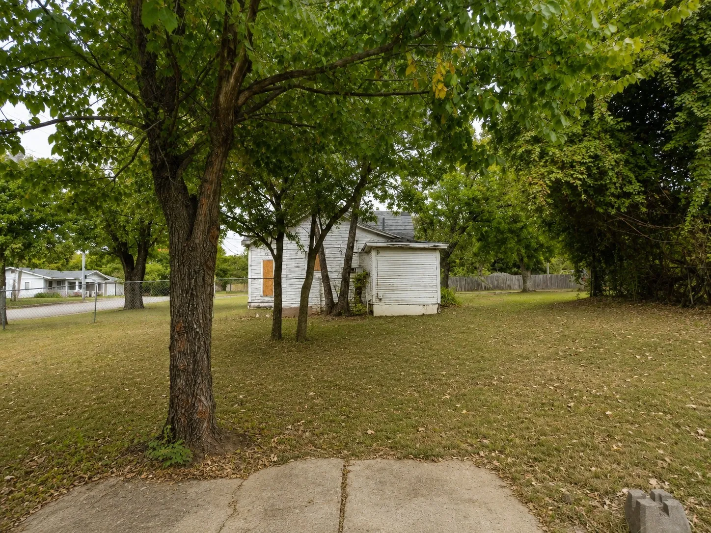 Backyard