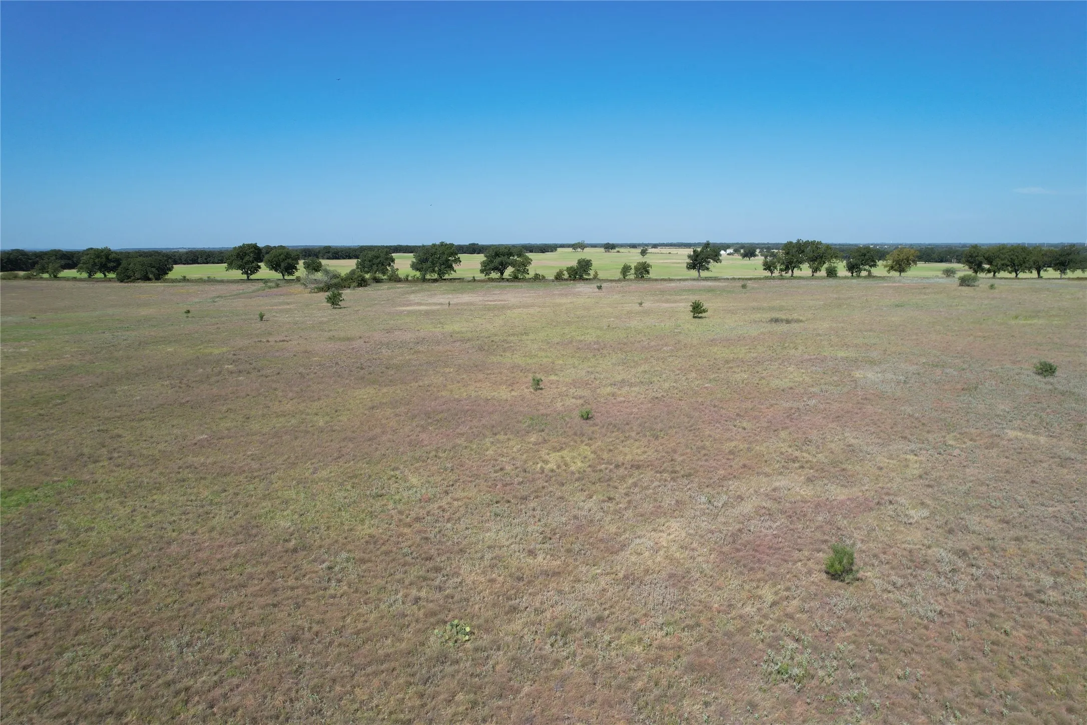 Ranch For Sale in Eastland County , TBD County Road 366, Gorman, Texas 76454, 0, 0, Garage spaces, 0 Sqft, built in 0, mls#21310453, Real Estate Agent in Gorman, Homes For Sale in Eastland county, Homes For Sale in Gorman, Realtor in Gorman Texas, Real Estate Brokerage Independent Realty Texas, Luminita Cordes Realtor