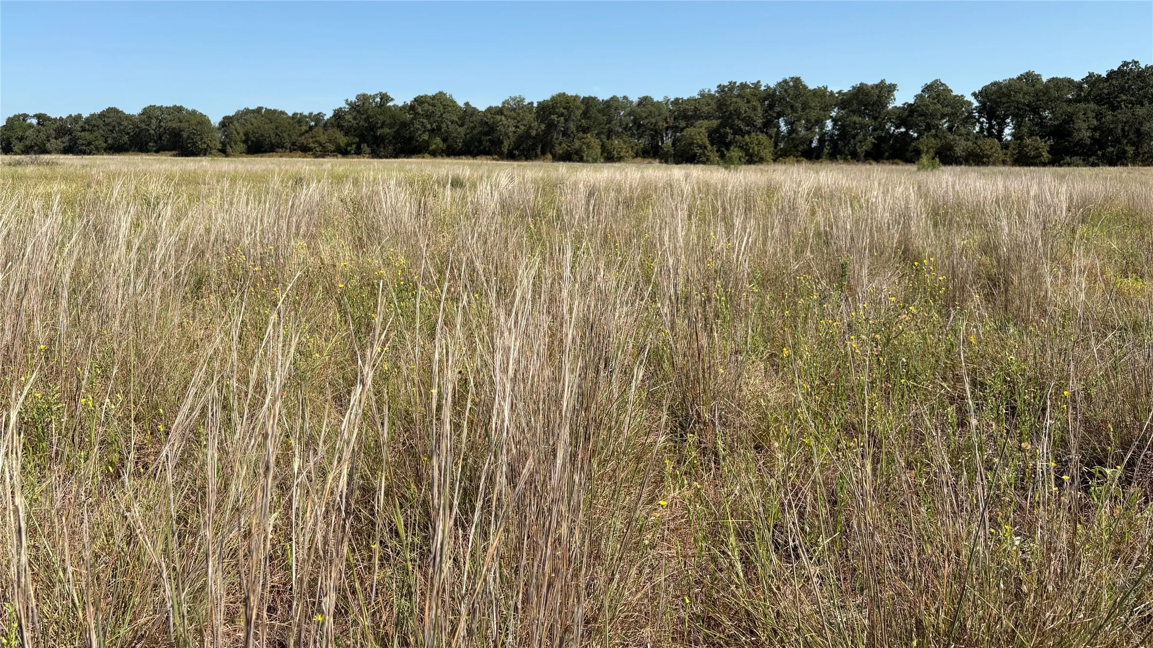 Ranch For Sale in Eastland County , TBD County Road 366, Gorman, Texas 76454, 0, 0, Garage spaces, 0 Sqft, built in 0, mls#21310453, Real Estate Agent in Gorman, Homes For Sale in Eastland county, Homes For Sale in Gorman, Realtor in Gorman Texas, Real Estate Brokerage Independent Realty Texas, Luminita Cordes Realtor