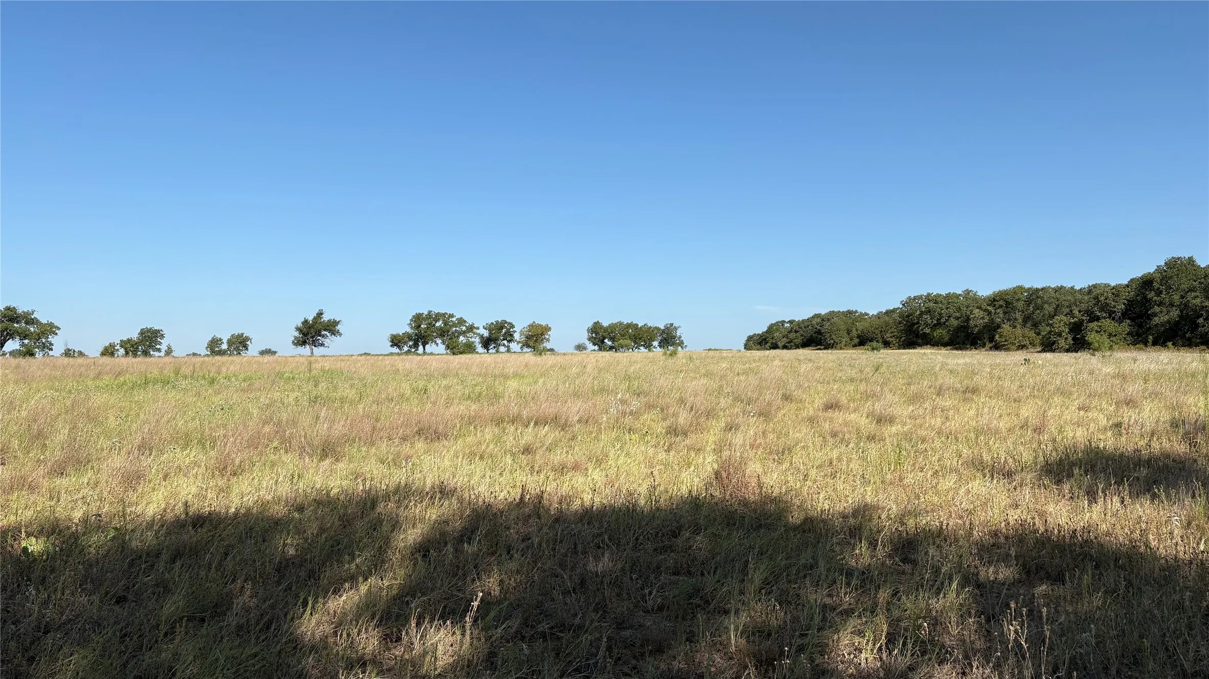 Ranch For Sale in Eastland County , TBD County Road 366, Gorman, Texas 76454, 0, 0, Garage spaces, 0 Sqft, built in 0, mls#21310453, Real Estate Agent in Gorman, Homes For Sale in Eastland county, Homes For Sale in Gorman, Realtor in Gorman Texas, Real Estate Brokerage Independent Realty Texas, Luminita Cordes Realtor
