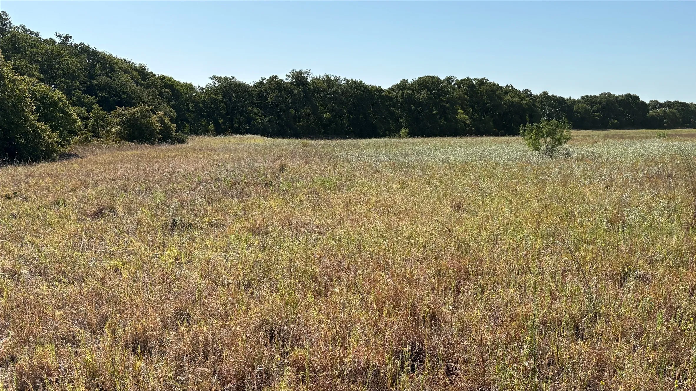 Ranch For Sale in Eastland County , TBD County Road 366, Gorman, Texas 76454, 0, 0, Garage spaces, 0 Sqft, built in 0, mls#21310453, Real Estate Agent in Gorman, Homes For Sale in Eastland county, Homes For Sale in Gorman, Realtor in Gorman Texas, Real Estate Brokerage Independent Realty Texas, Luminita Cordes Realtor
