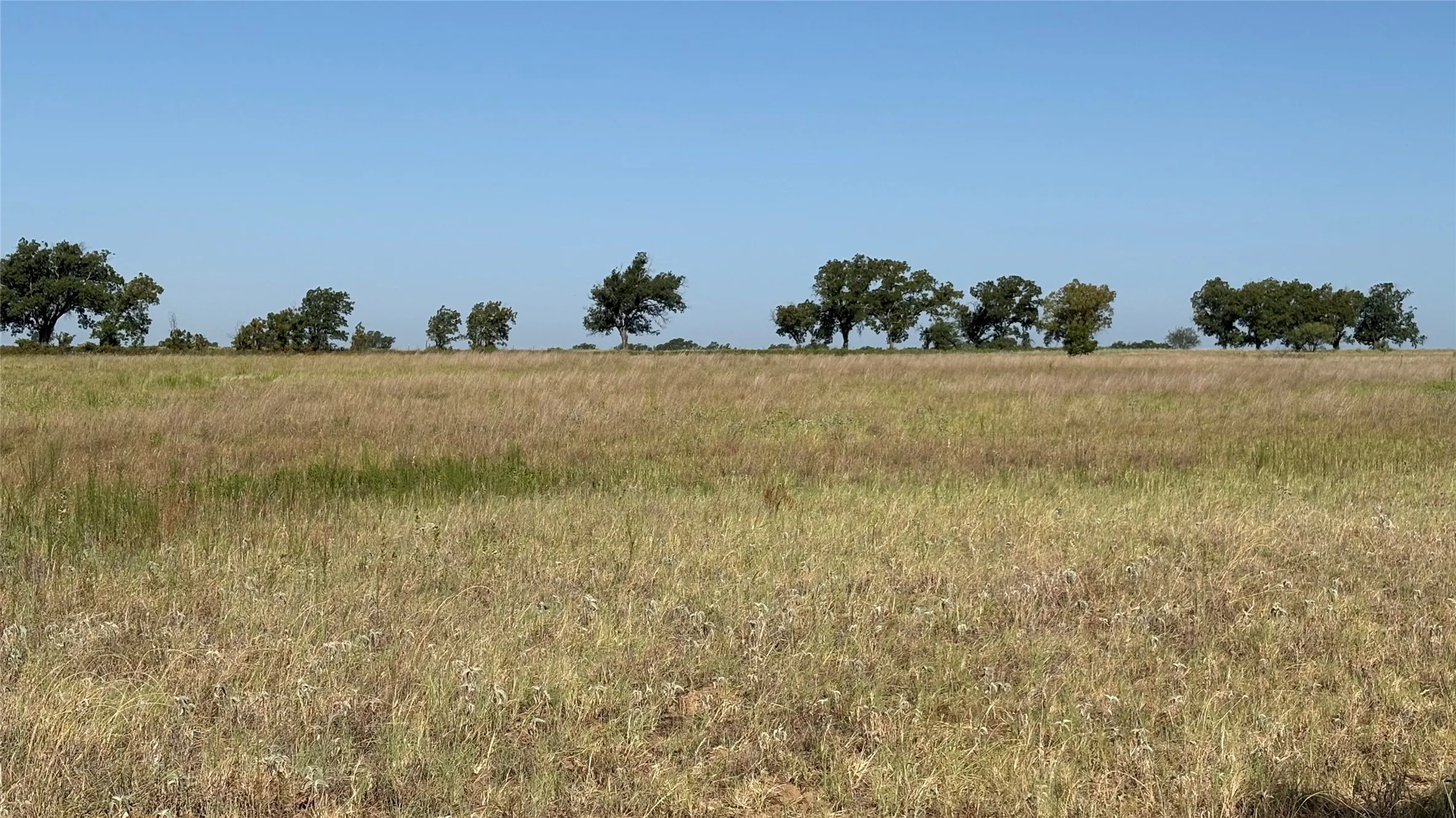 Ranch For Sale in Eastland County , TBD County Road 366, Gorman, Texas 76454, 0, 0, Garage spaces, 0 Sqft, built in 0, mls#21310453, Real Estate Agent in Gorman, Homes For Sale in Eastland county, Homes For Sale in Gorman, Realtor in Gorman Texas, Real Estate Brokerage Independent Realty Texas, Luminita Cordes Realtor