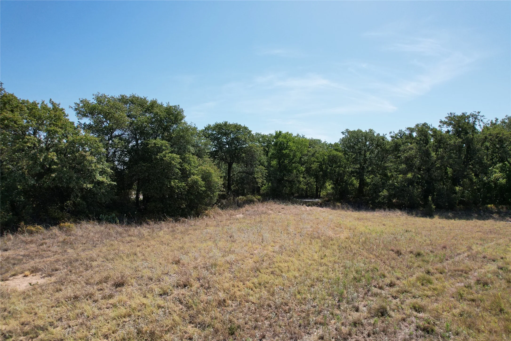 Ranch For Sale in Eastland County , TBD County Road 366, Gorman, Texas 76454, 0, 0, Garage spaces, 0 Sqft, built in 0, mls#21310453, Real Estate Agent in Gorman, Homes For Sale in Eastland county, Homes For Sale in Gorman, Realtor in Gorman Texas, Real Estate Brokerage Independent Realty Texas, Luminita Cordes Realtor