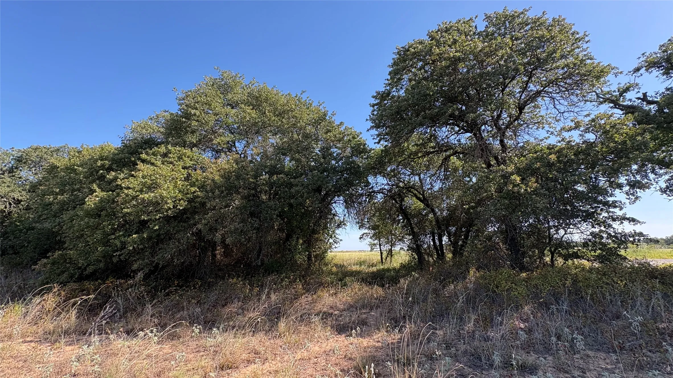 Ranch For Sale in Eastland County , TBD County Road 366, Gorman, Texas 76454, 0, 0, Garage spaces, 0 Sqft, built in 0, mls#21310453, Real Estate Agent in Gorman, Homes For Sale in Eastland county, Homes For Sale in Gorman, Realtor in Gorman Texas, Real Estate Brokerage Independent Realty Texas, Luminita Cordes Realtor