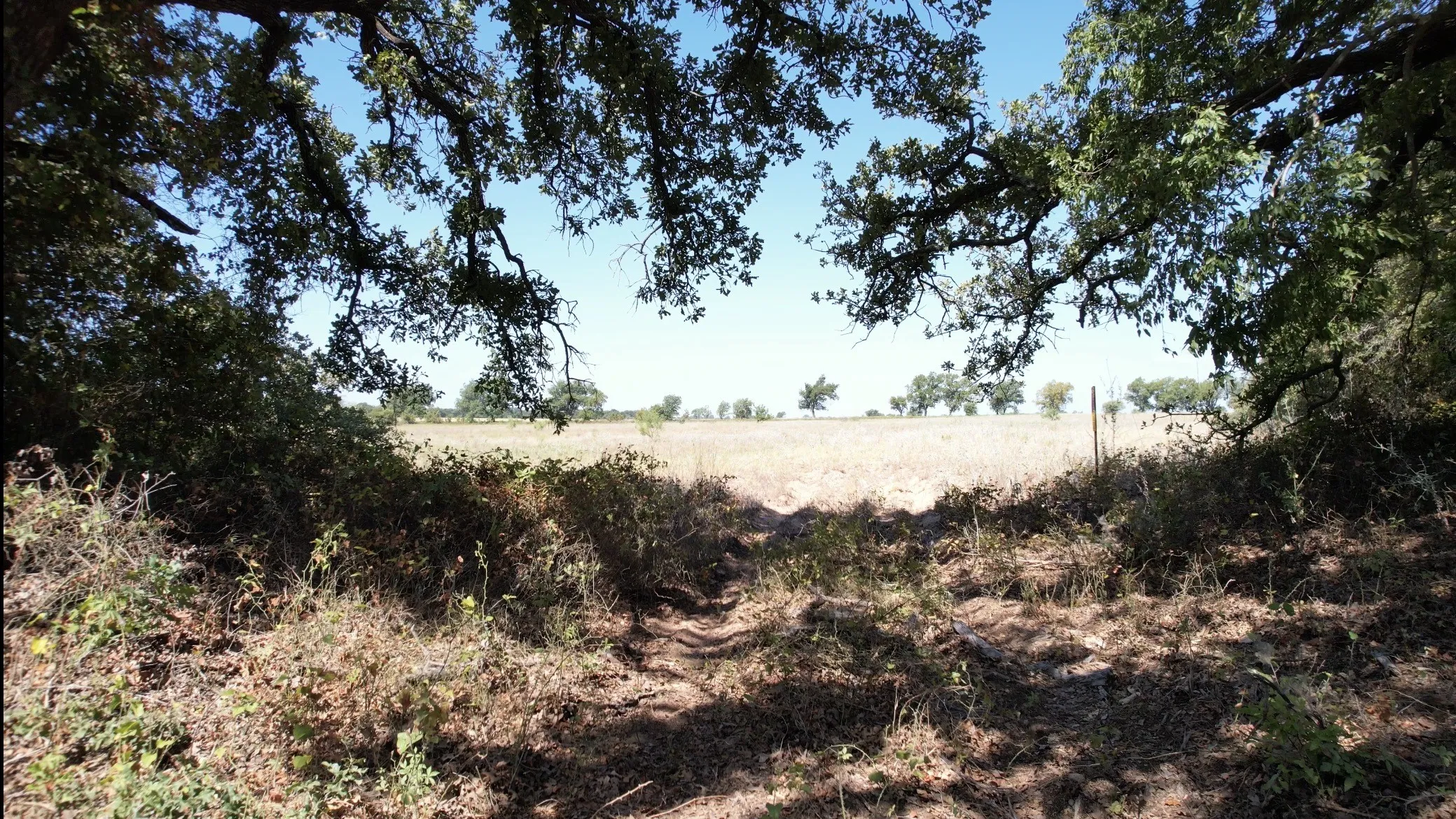 Ranch For Sale in Eastland County , TBD County Road 366, Gorman, Texas 76454, 0, 0, Garage spaces, 0 Sqft, built in 0, mls#21310453, Real Estate Agent in Gorman, Homes For Sale in Eastland county, Homes For Sale in Gorman, Realtor in Gorman Texas, Real Estate Brokerage Independent Realty Texas, Luminita Cordes Realtor
