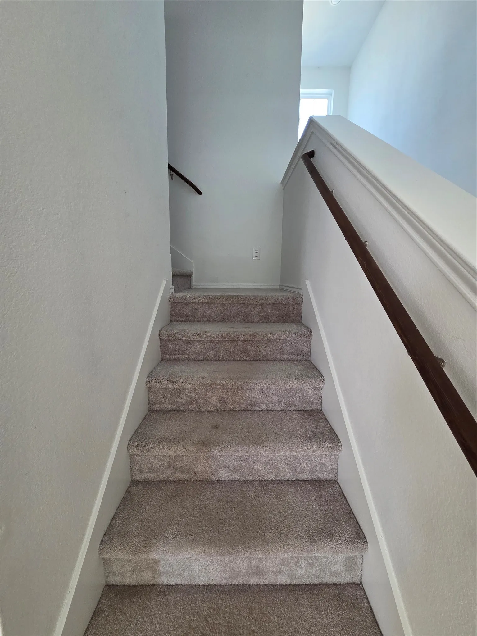 Carpeted staircase with white risers and a dark wood-finish handrail