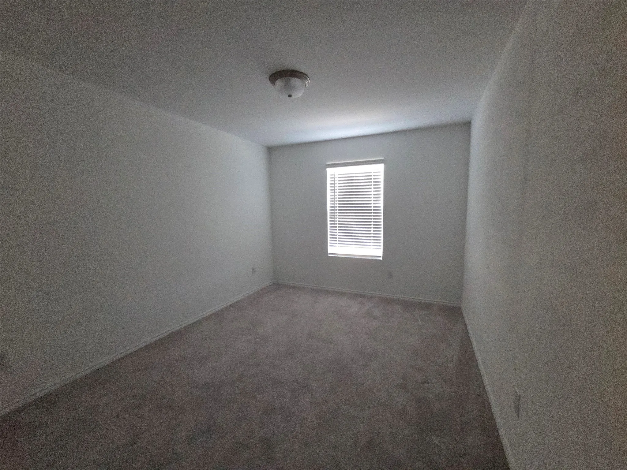 Neutral wall finish, ceiling-mounted light fixture, window with horizontal blinds, and carpeted flooring