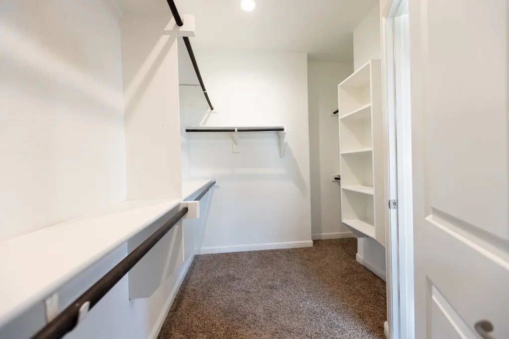 Walk-in closet featuring carpet flooring, built-in shelving, and multiple clothing rods