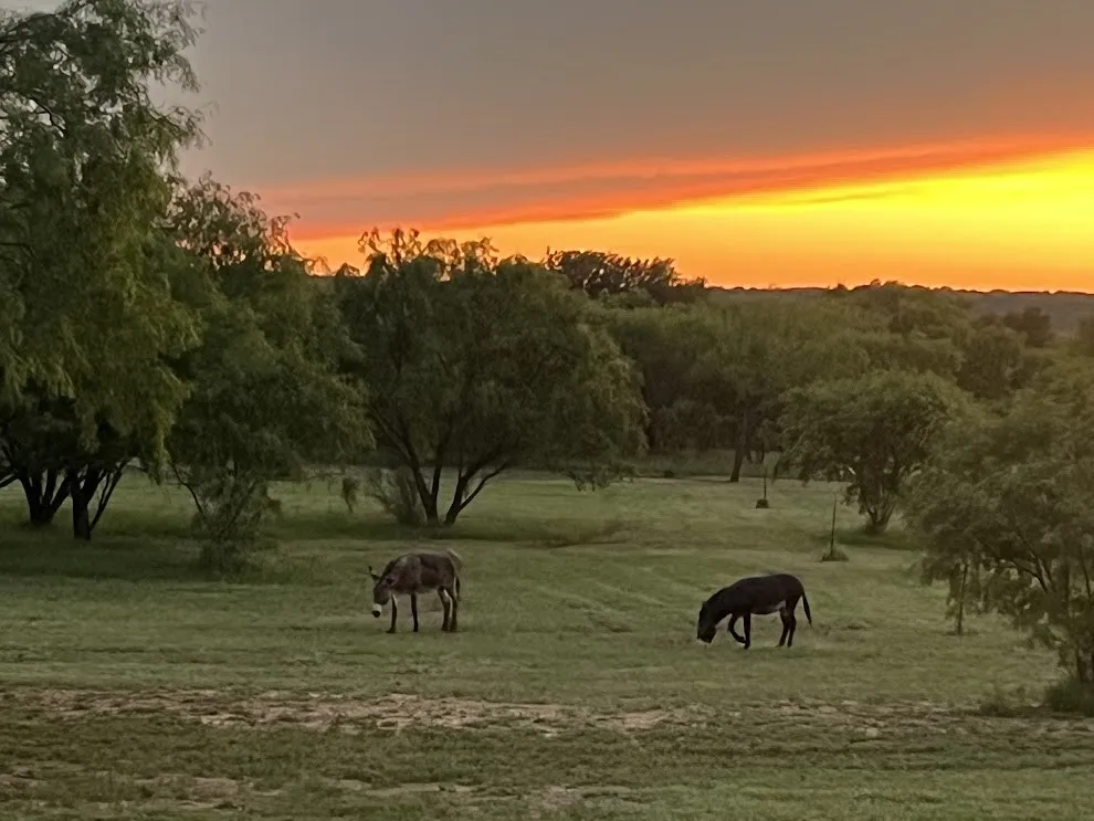 Mobile Home For Sale in Mc Culloch County , 575 County Road 442, Rochelle, Texas 76872, 3 Bedroom, 2 Bathroom, 2 Garage spaces, 1,344 Sqft, built in 1985, mls#21367216, Real Estate Agent in Rochelle, Homes For Sale in Mc Culloch county, Homes For Sale in Rochelle, Realtor in Rochelle Texas, Real Estate Brokerage Independent Realty Texas, Luminita Cordes Realtor