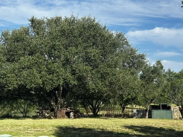 Mobile Home For Sale in Mc Culloch County , 575 County Road 442, Rochelle, Texas 76872, 3 Bedroom, 2 Bathroom, 2 Garage spaces, 1,344 Sqft, built in 1985, mls#21367216, Real Estate Agent in Rochelle, Homes For Sale in Mc Culloch county, Homes For Sale in Rochelle, Realtor in Rochelle Texas, Real Estate Brokerage Independent Realty Texas, Luminita Cordes Realtor