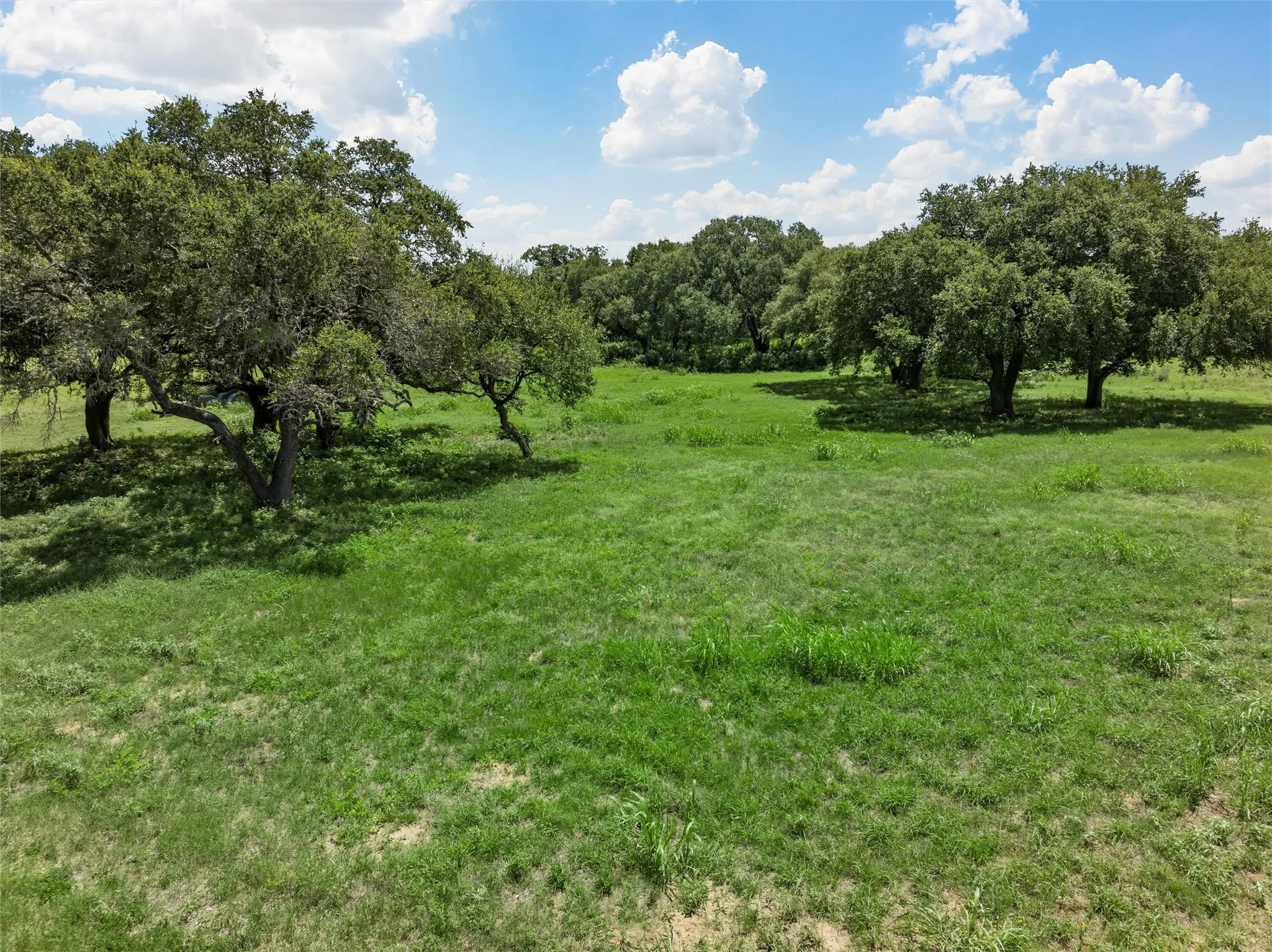 Unimproved Land For Sale in Bosque County , 238 PR 3666, China Spring, Texas 76633, 0, 0, Garage spaces, 0 Sqft, built in 0, mls#21361491, Real Estate Agent in China Spring, Homes For Sale in Bosque county, Homes For Sale in China Spring, Realtor in China Spring Texas, Real Estate Brokerage Independent Realty Texas, Luminita Cordes Realtor
