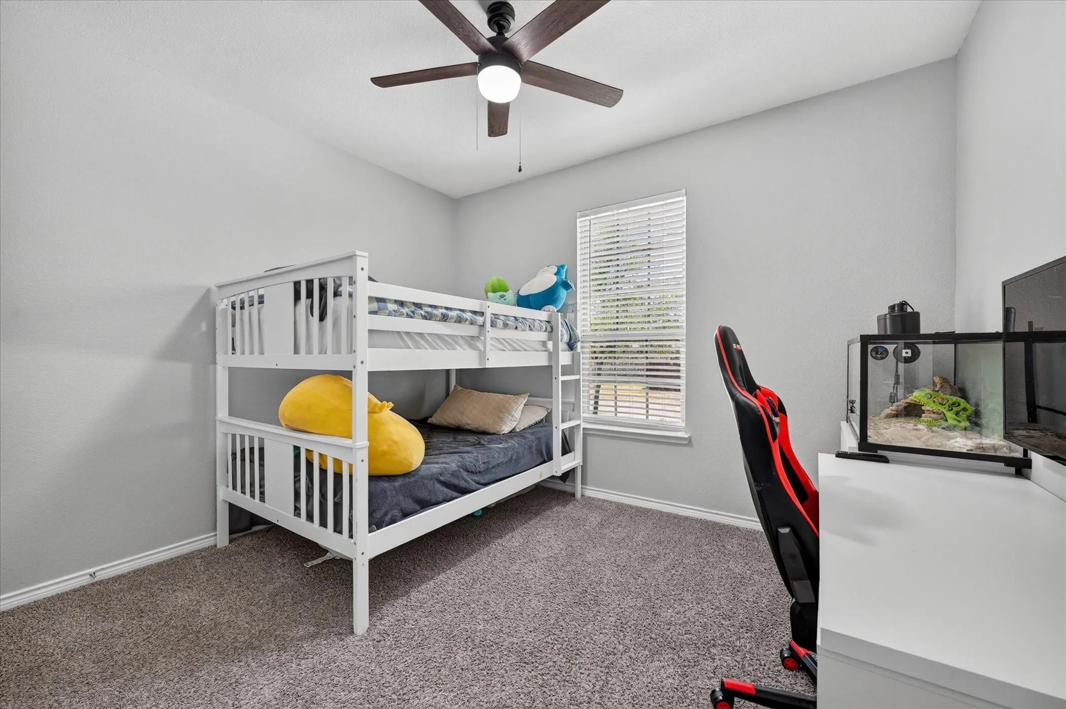 Carpeted flooring, window with blinds, ceiling fan with light, and light-toned walls