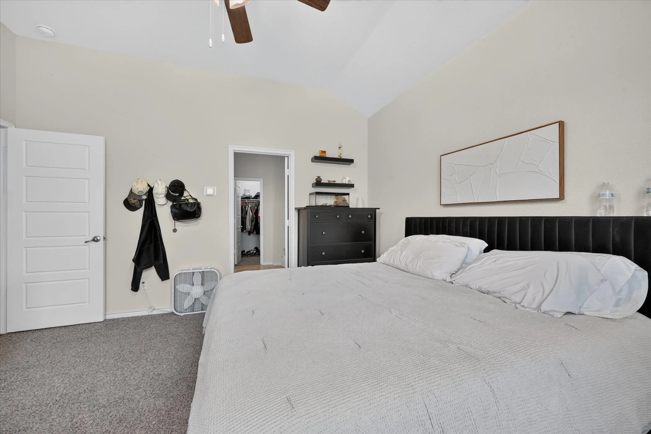 Carpeted flooring with light-colored walls