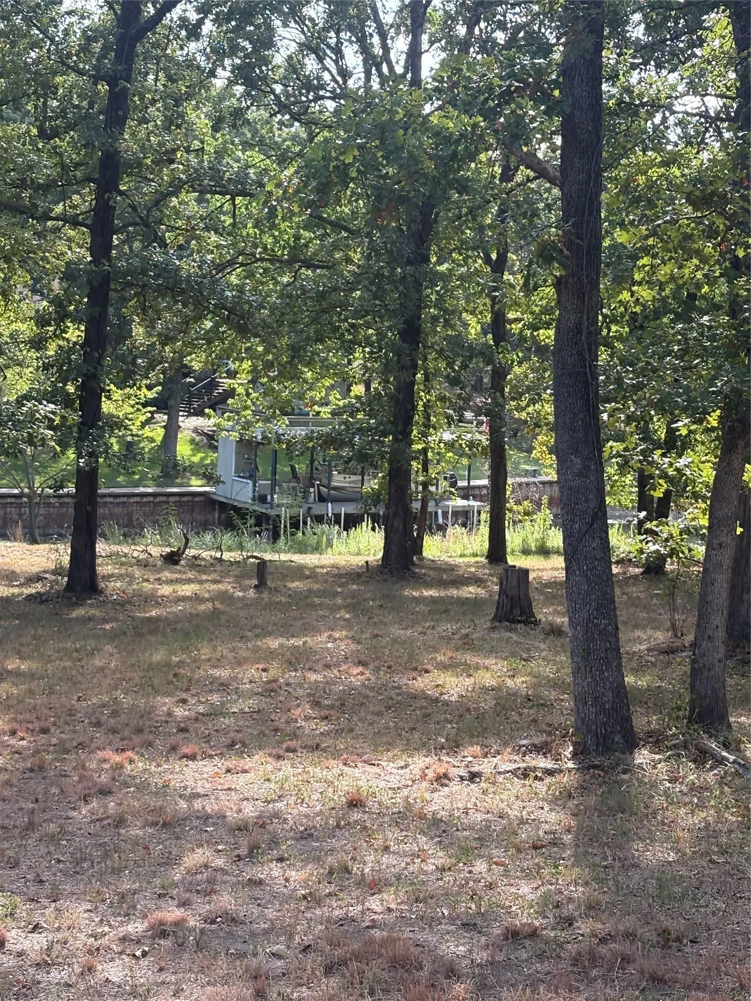 Mature wooded lot with towering trees providing natural privacy and dappled sunlight throughout the grounds