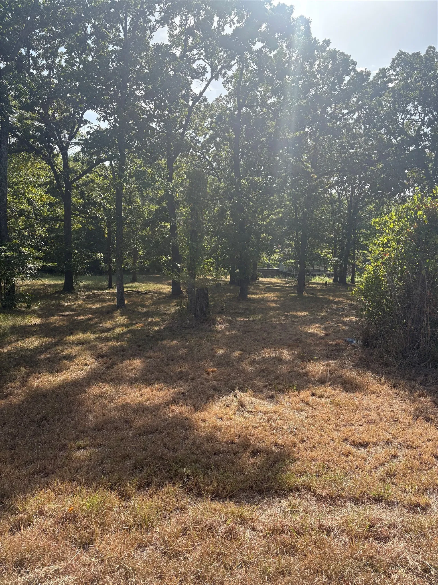 Unimproved Land For Sale in Henderson County , 124 Point La Vista, Malakoff, Texas 75148, 0, 0, Garage spaces, 0 Sqft, built in 0, Price $129,000, mls#21361141, Real Estate Agent in Malakoff, Homes For Sale in Henderson county, Homes For Sale in Malakoff, Realtor in Malakoff Texas, Real Estate Brokerage Independent Realty Texas, Luminita Cordes Realtor