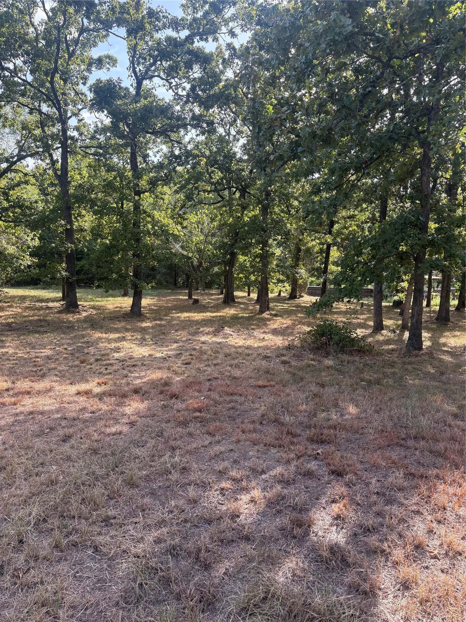 Unimproved Land For Sale in Henderson County , 124 Point La Vista, Malakoff, Texas 75148, 0, 0, Garage spaces, 0 Sqft, built in 0, Price $129,000, mls#21361141, Real Estate Agent in Malakoff, Homes For Sale in Henderson county, Homes For Sale in Malakoff, Realtor in Malakoff Texas, Real Estate Brokerage Independent Realty Texas, Luminita Cordes Realtor