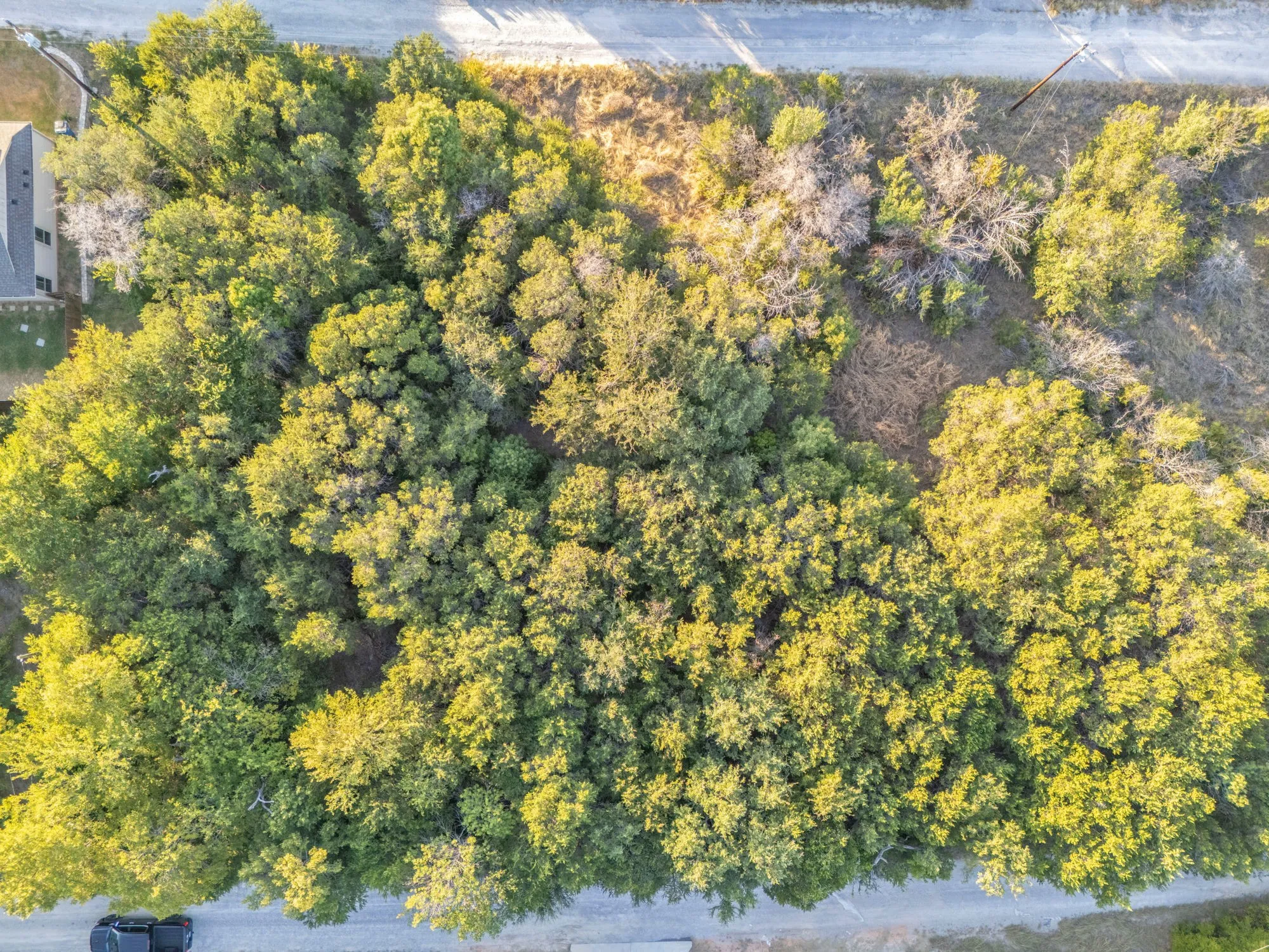 Unimproved Land For Sale in Hood County , 2216 Sabine Street, Granbury, Texas 76048, 0, 0, Garage spaces, 0 Sqft, built in 0, Price $15,000, mls#21367295, Real Estate Agent in Granbury, Homes For Sale in Hood county, Homes For Sale in Granbury, Realtor in Granbury Texas, Real Estate Brokerage Independent Realty Texas, Luminita Cordes Realtor